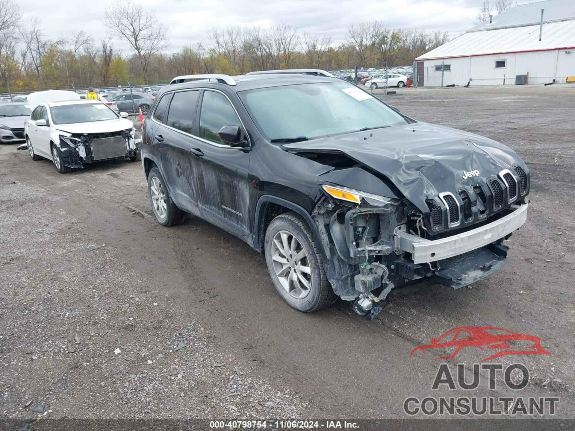 JEEP CHEROKEE 2014 - 1C4PJMDS1EW156163