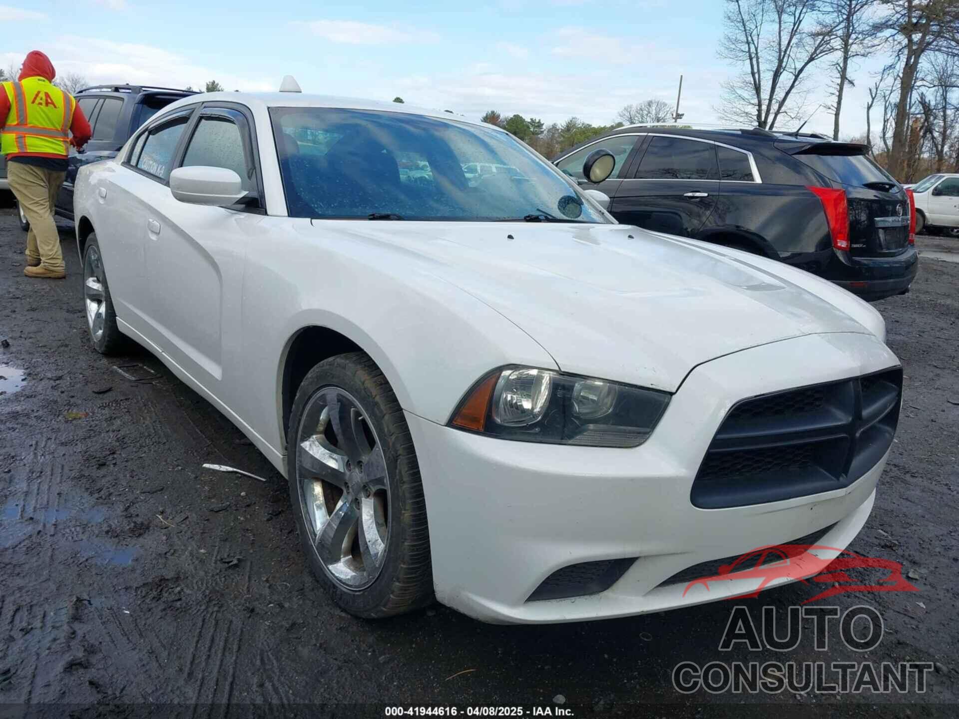 DODGE CHARGER 2014 - 2C3CDXAGXEH194629