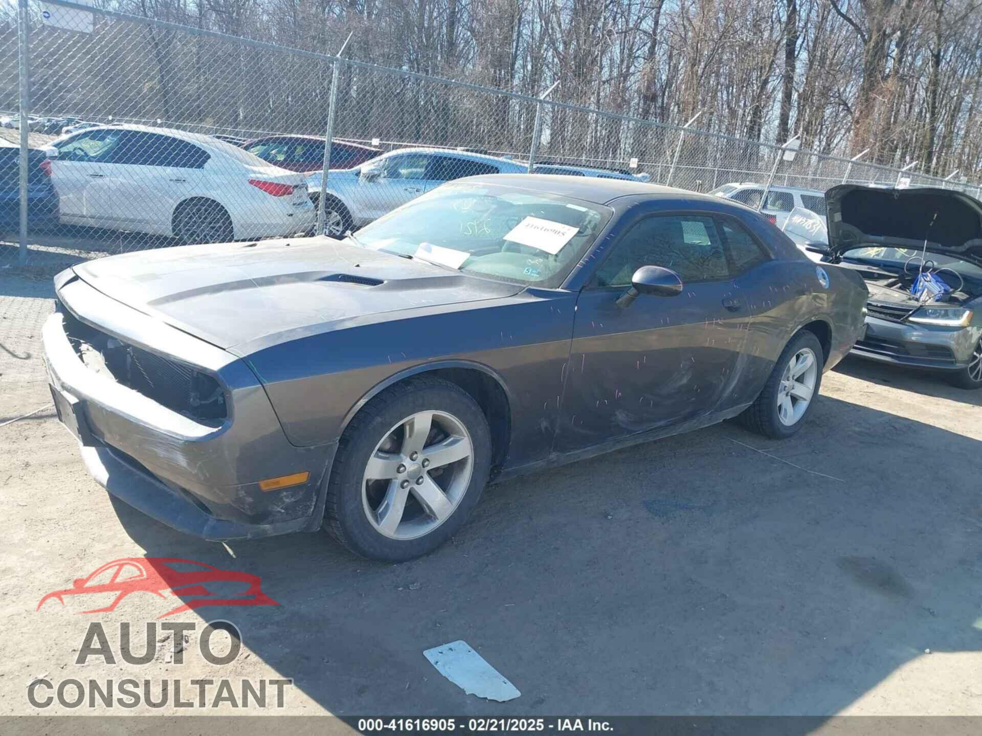 DODGE CHALLENGER 2014 - 2C3CDYAG9EH253448