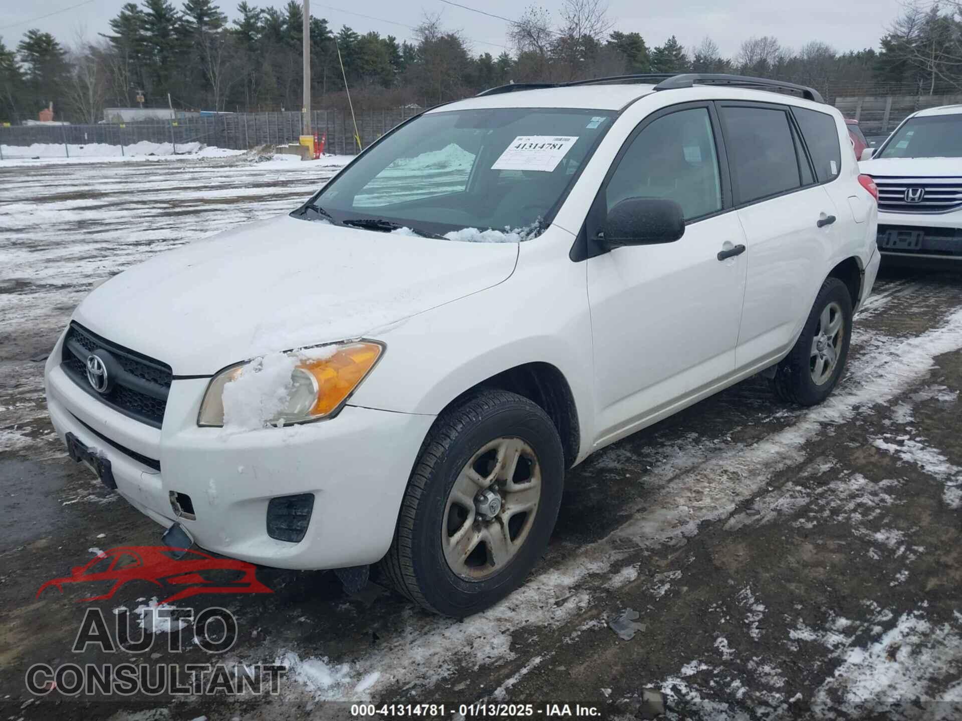 TOYOTA RAV4 2011 - 2T3BF4DV3BW161932