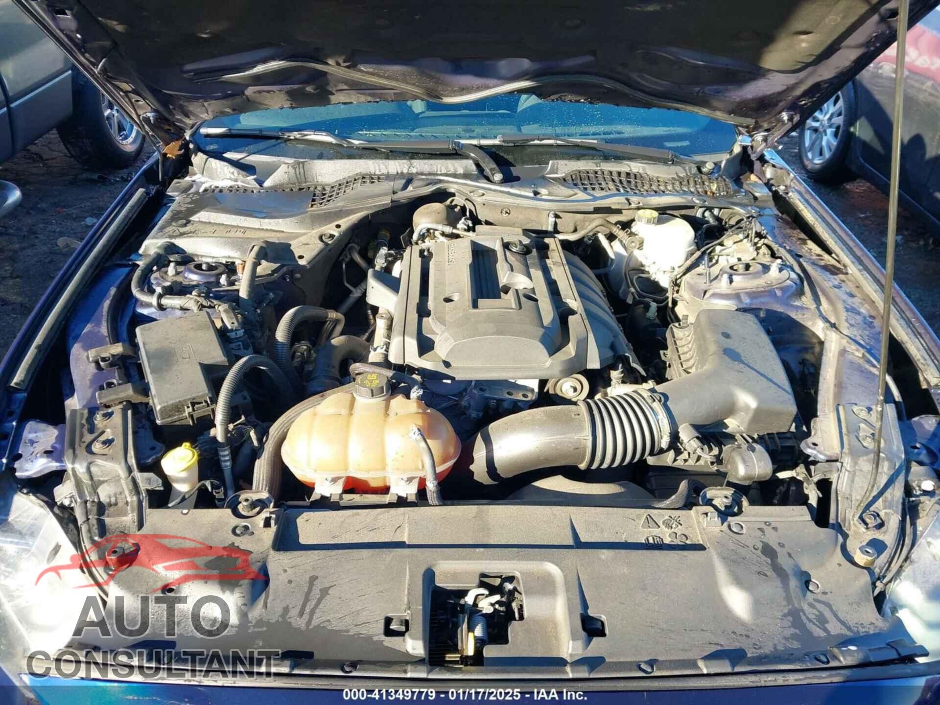 FORD MUSTANG 2018 - 1FA6P8TH8J5161843
