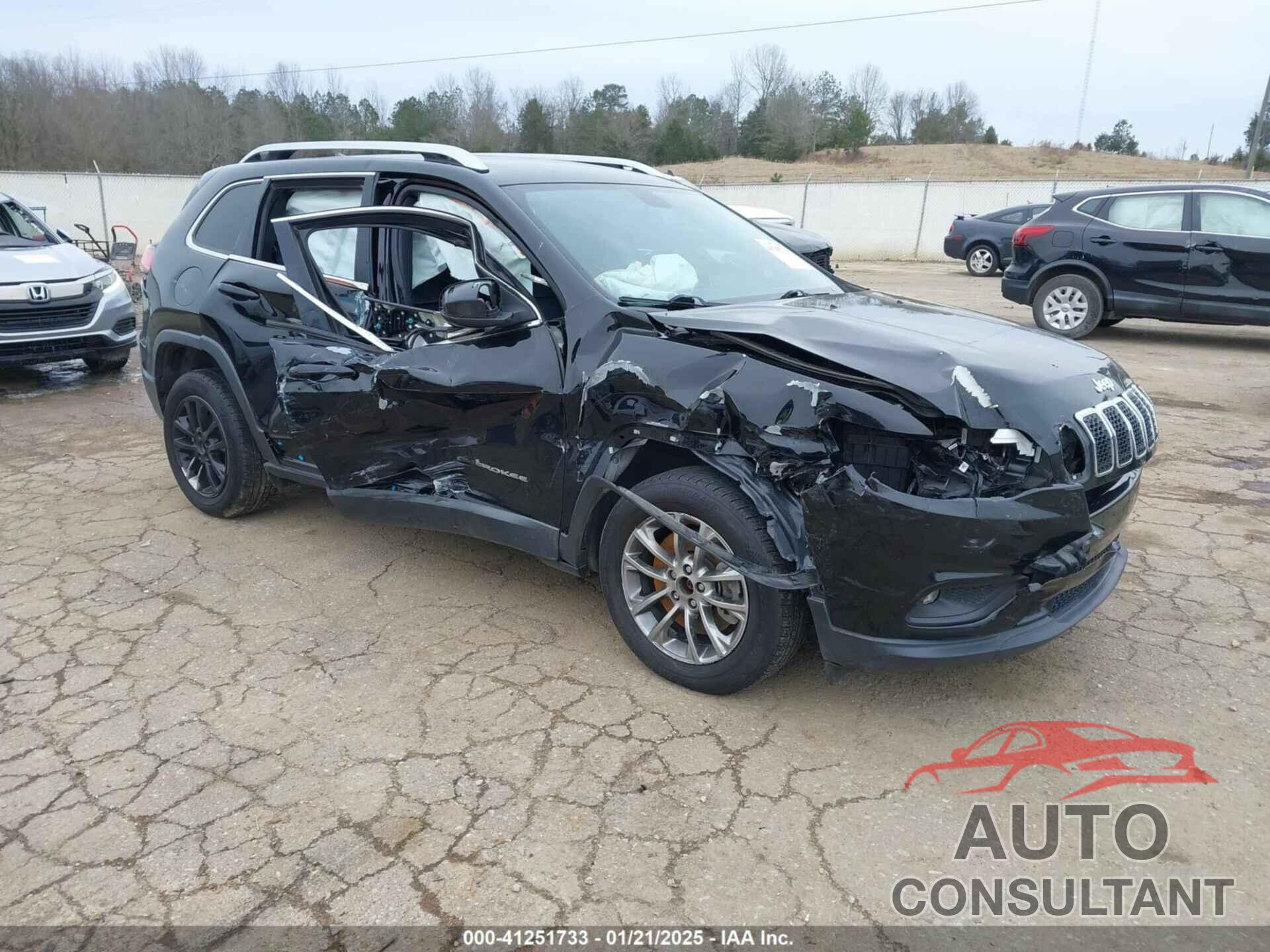 JEEP CHEROKEE 2019 - 1C4PJLLB8KD204504