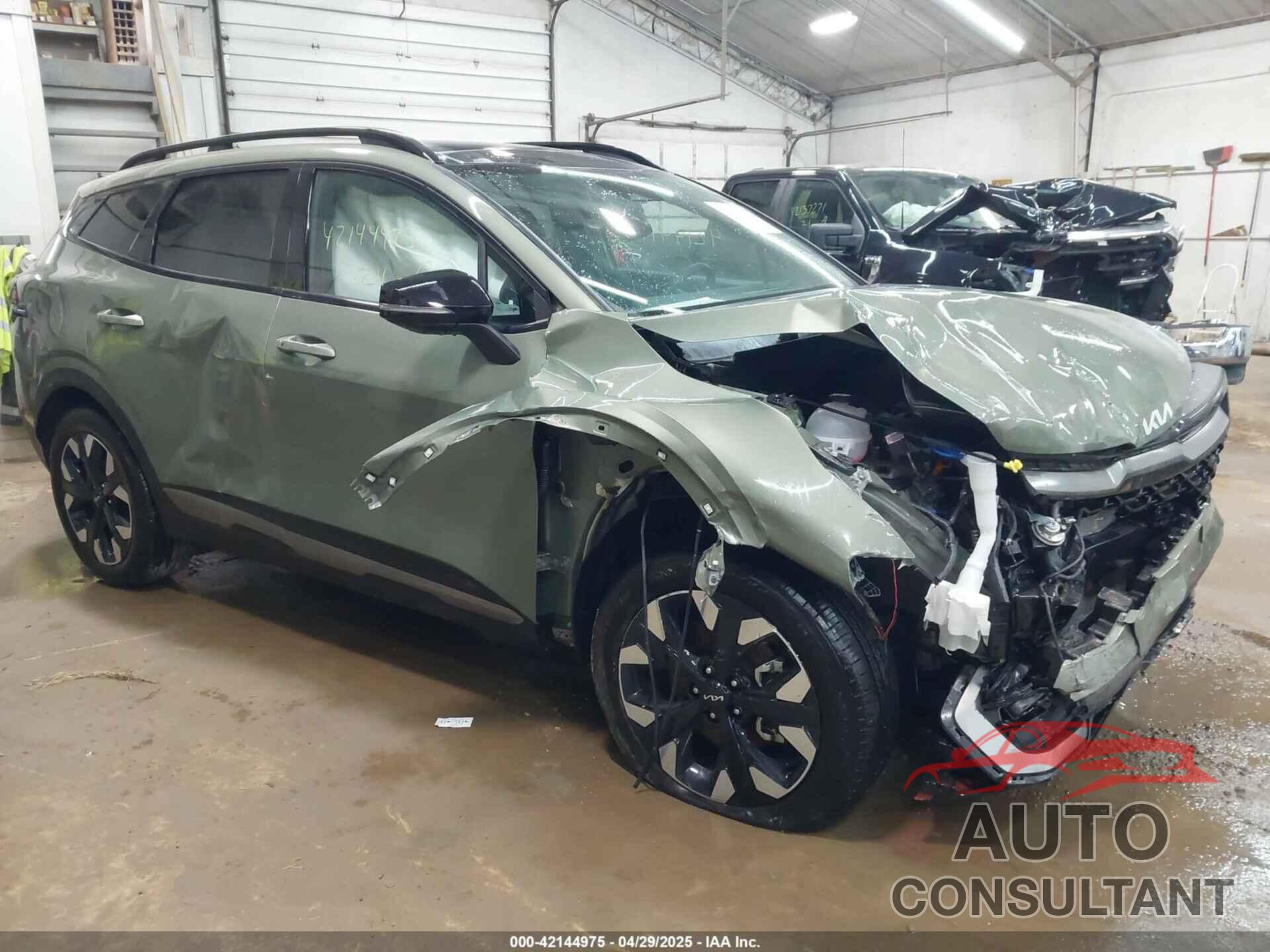 KIA SPORTAGE 2024 - 5XYK6CDF3RG181223