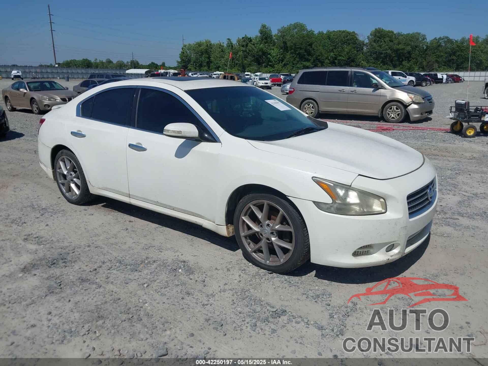 NISSAN MAXIMA 2011 - 1N4AA5AP6BC859076