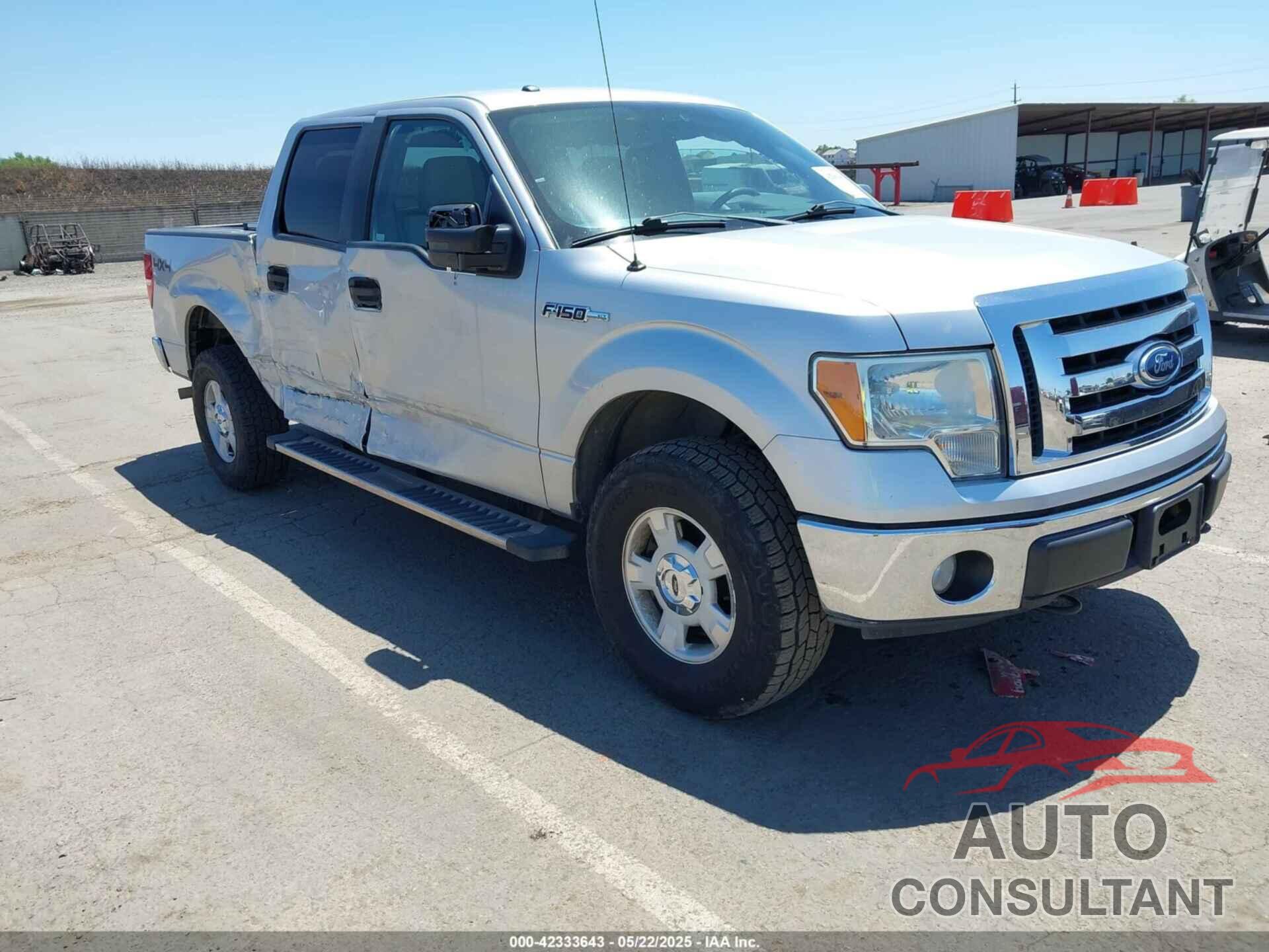 FORD F-150 2010 - 1FTEW1E83AFD81219
