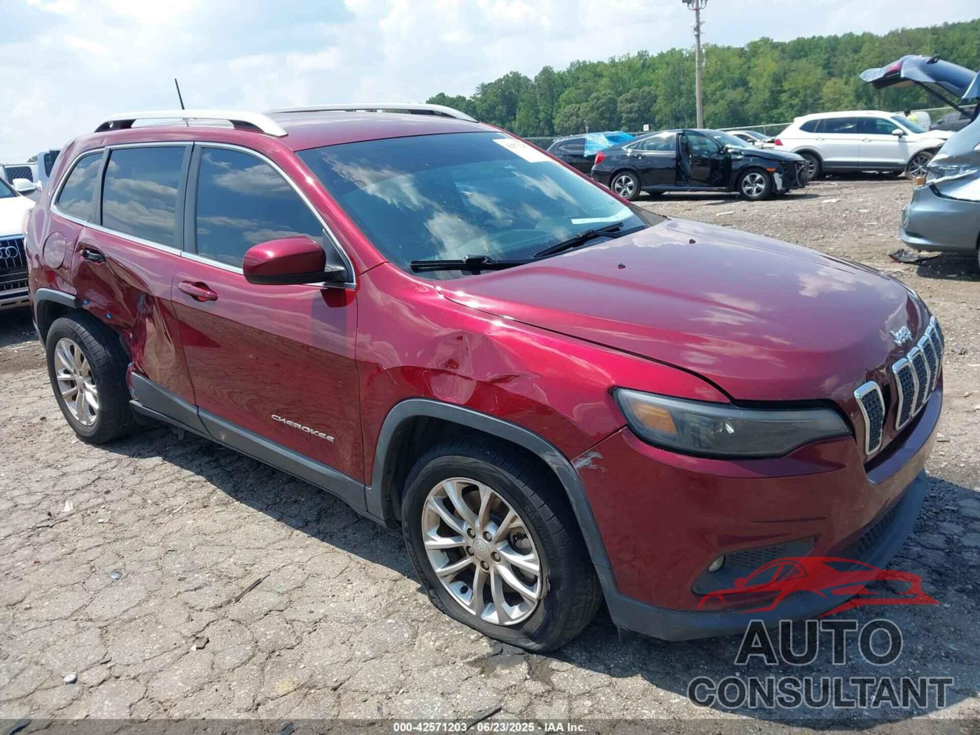 JEEP CHEROKEE 2019 - 1C4PJLCB8KD365998