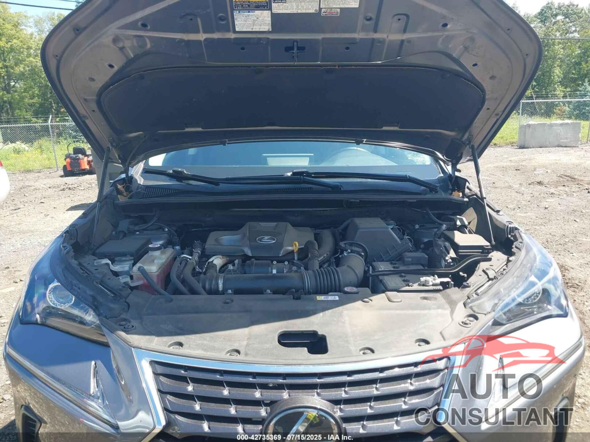 LEXUS NX 300 2019 - JTJBARBZXK2217484