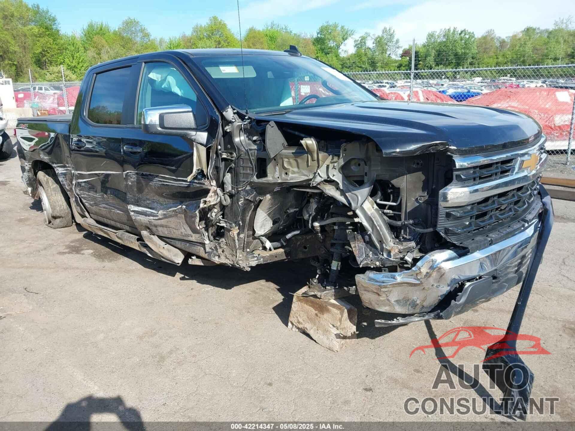 CHEVROLET SILVERADO 1500 2024 - 2GCUDDED3R1131093