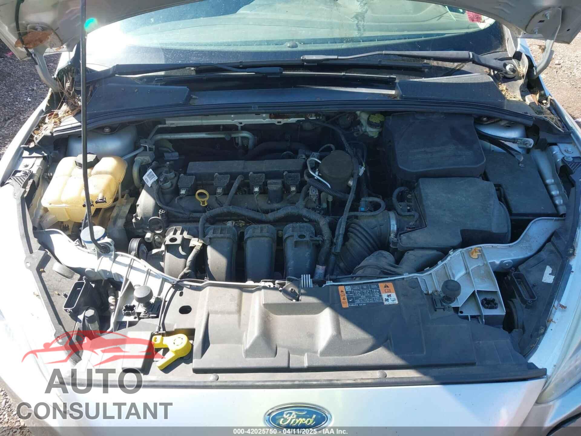 FORD FOCUS 2016 - 1FADP3F23GL320855
