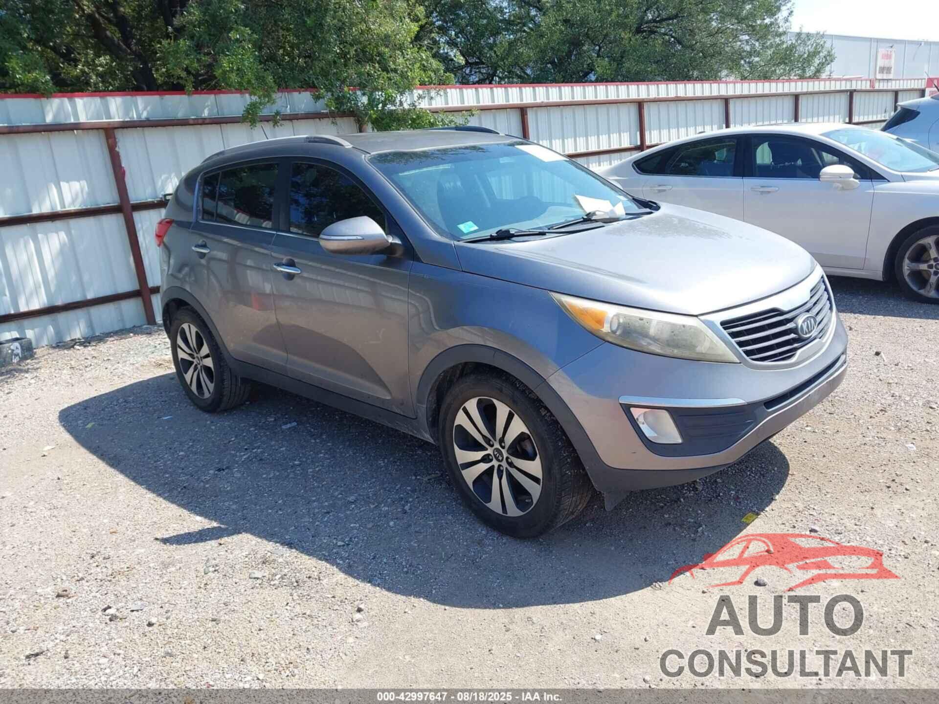 KIA SPORTAGE 2011 - KNDPC3A25B7019466