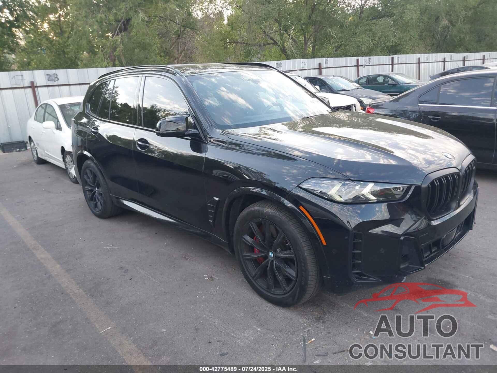BMW X5 2024 - 5UX33EU07R9U16064