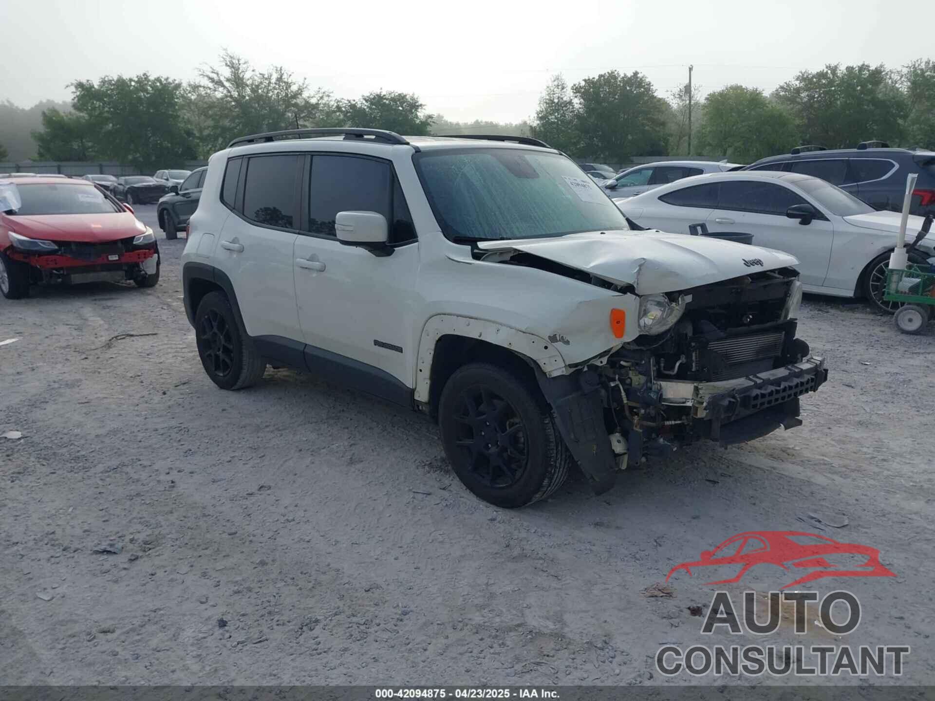 JEEP RENEGADE 2019 - ZACNJABB5KPK23491