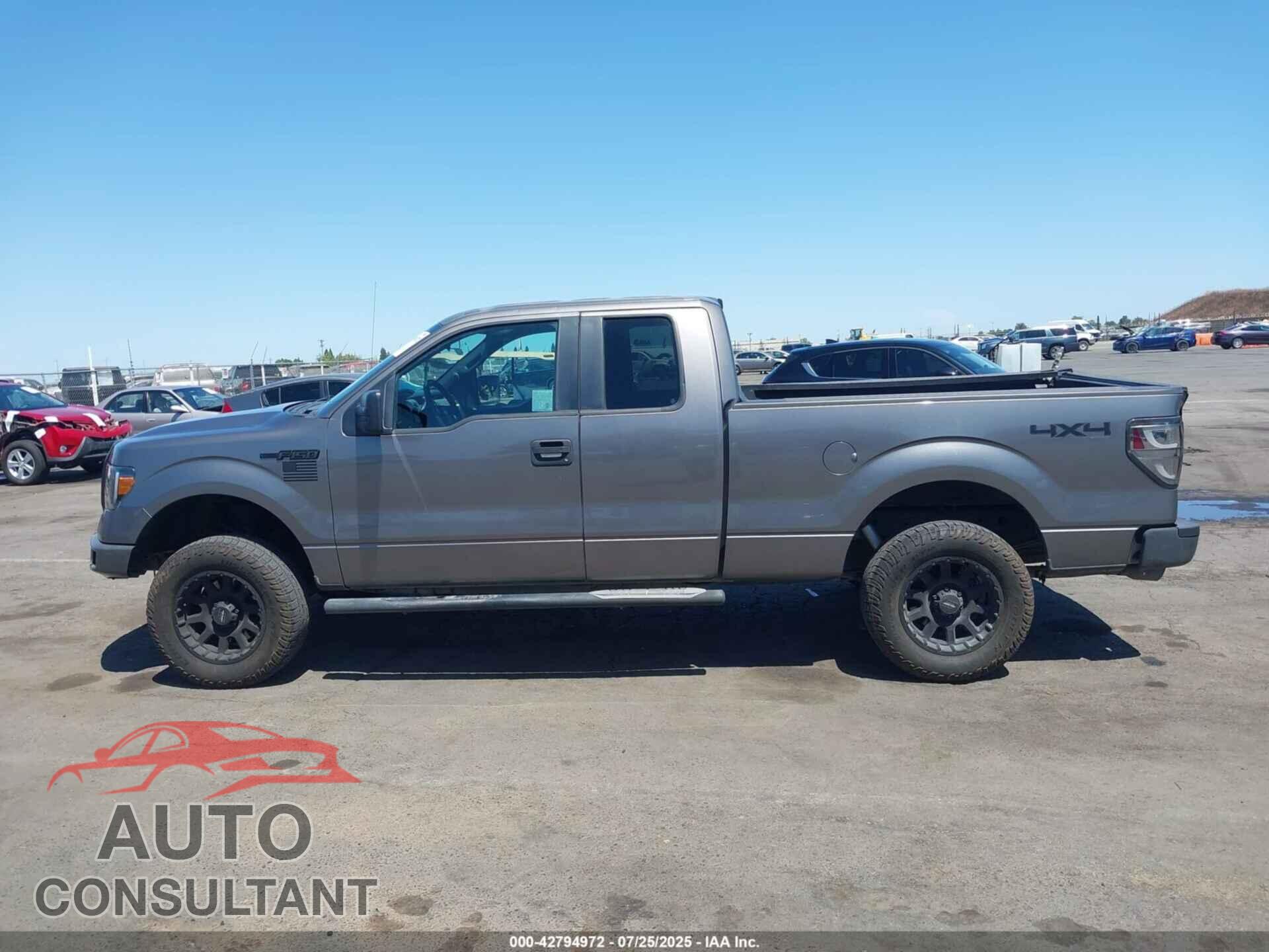 FORD F-150 2013 - 1FTFX1EF3DFD20859