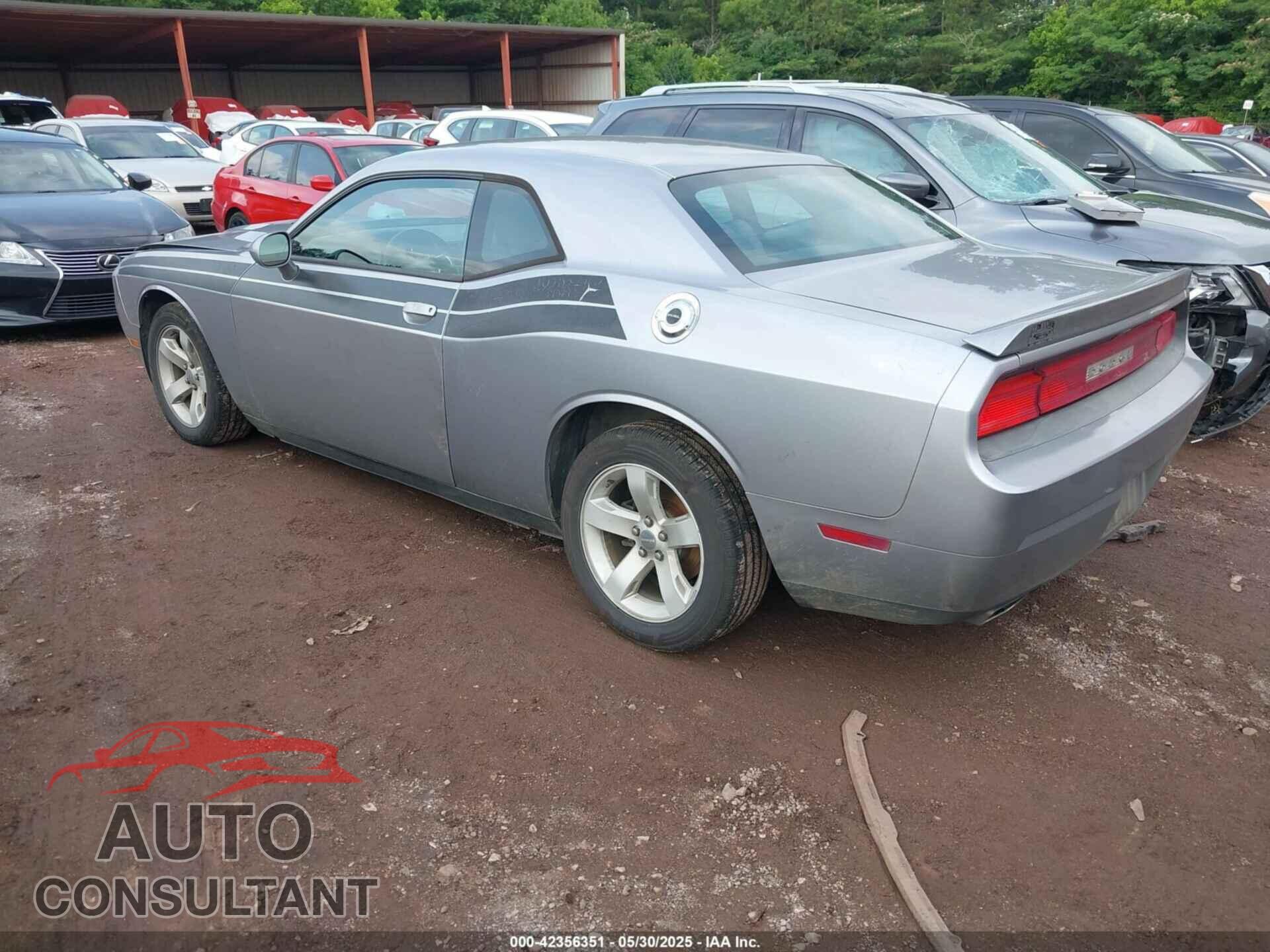 DODGE CHALLENGER 2013 - 2C3CDYAG4DH596358