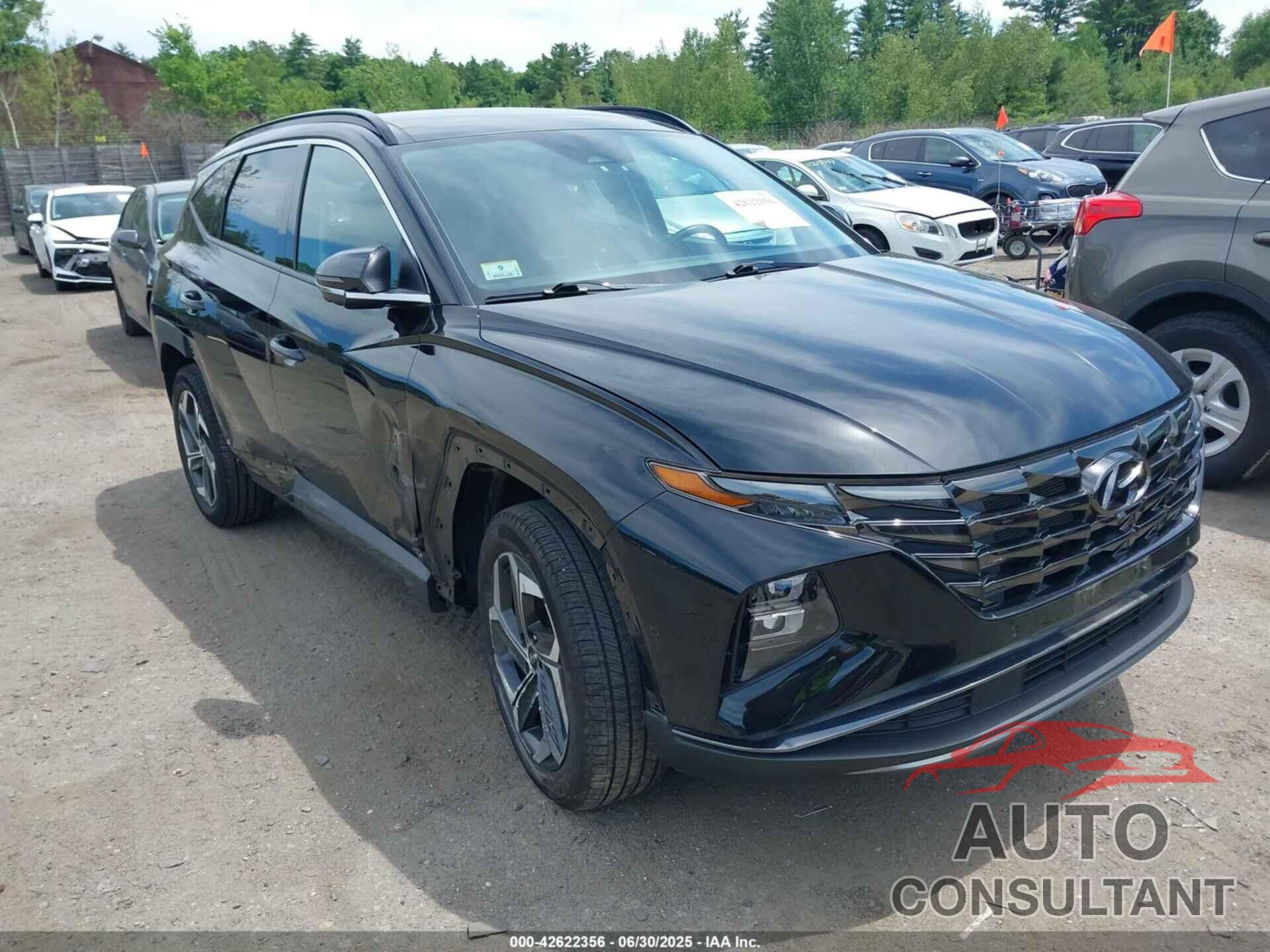HYUNDAI TUCSON 2024 - 5NMJECDE9RH316815