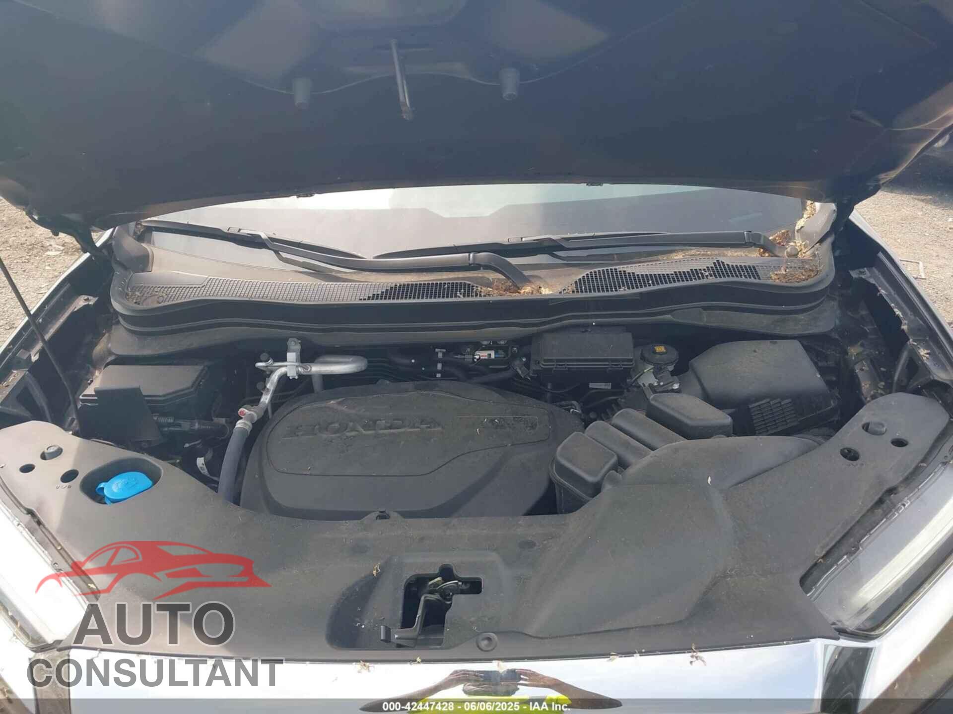 HONDA RIDGELINE 2023 - 5FPYK3F71PB022739