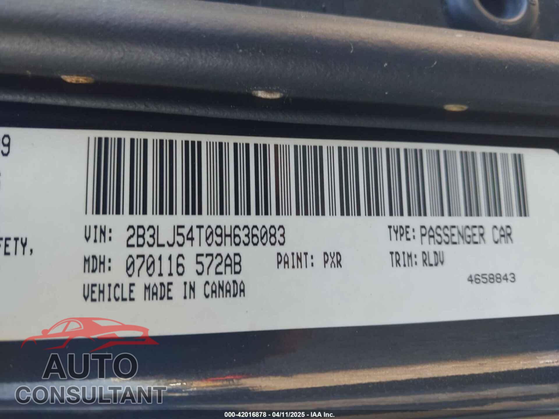 DODGE CHALLENGER 2009 - 2B3LJ54T09H636083