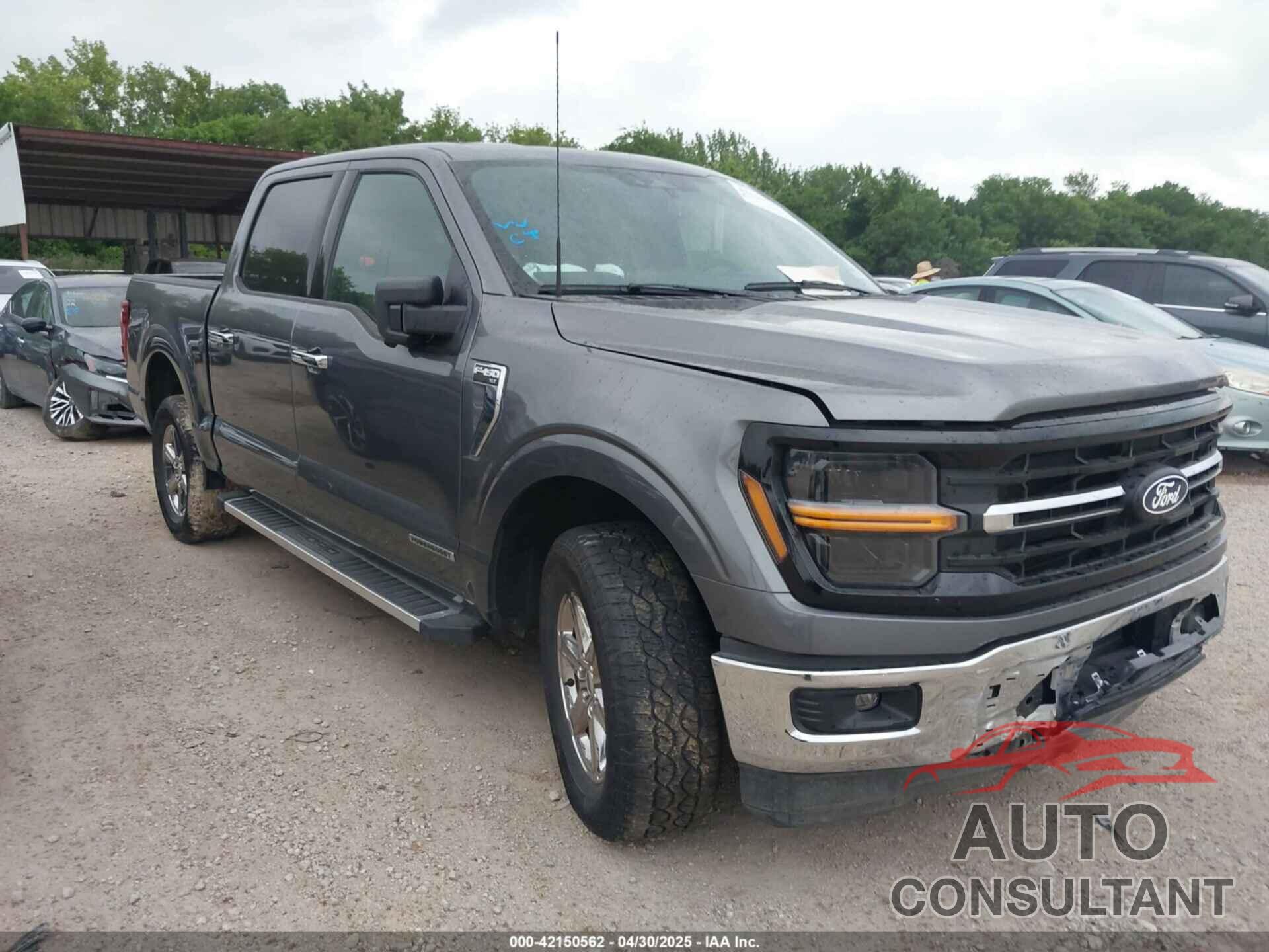 FORD F-150 2024 - 1FTFW3LD8RFA75614