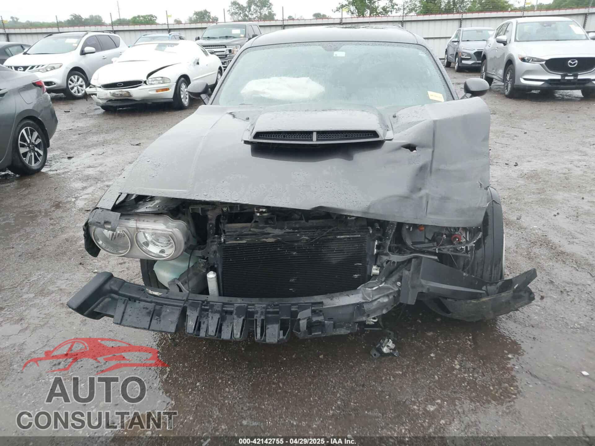 DODGE CHALLENGER 2014 - 2C3CDYBT8EH282211