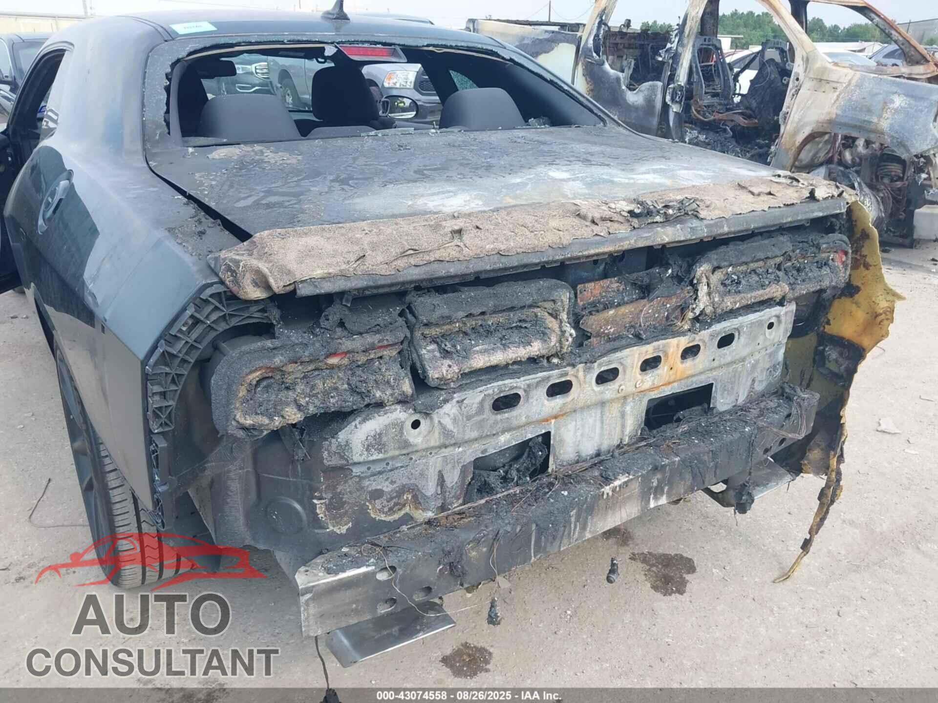 DODGE CHALLENGER 2016 - 2C3CDZFJ4GH290386