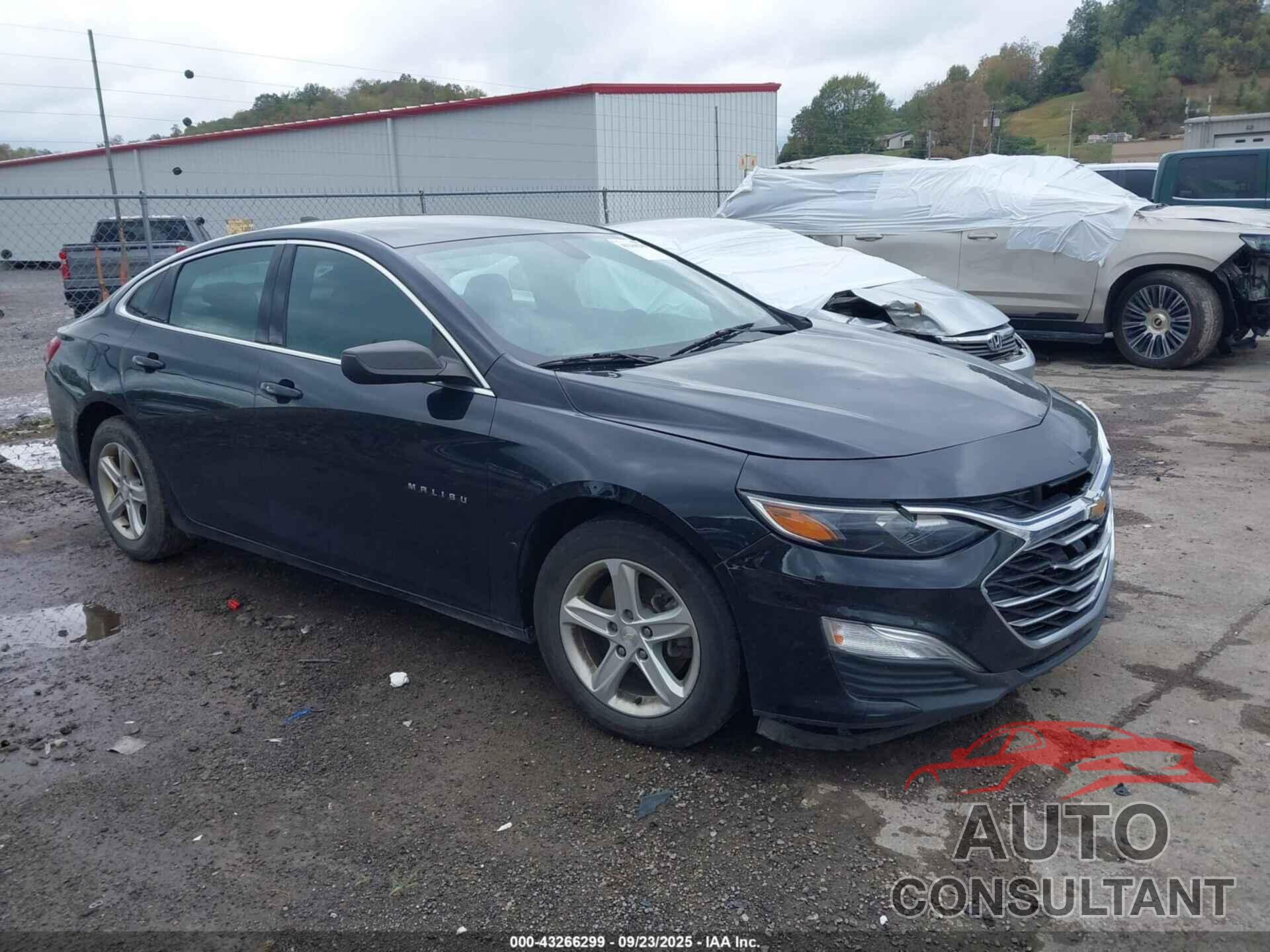 CHEVROLET MALIBU 2020 - 1G1ZB5ST7LF018401