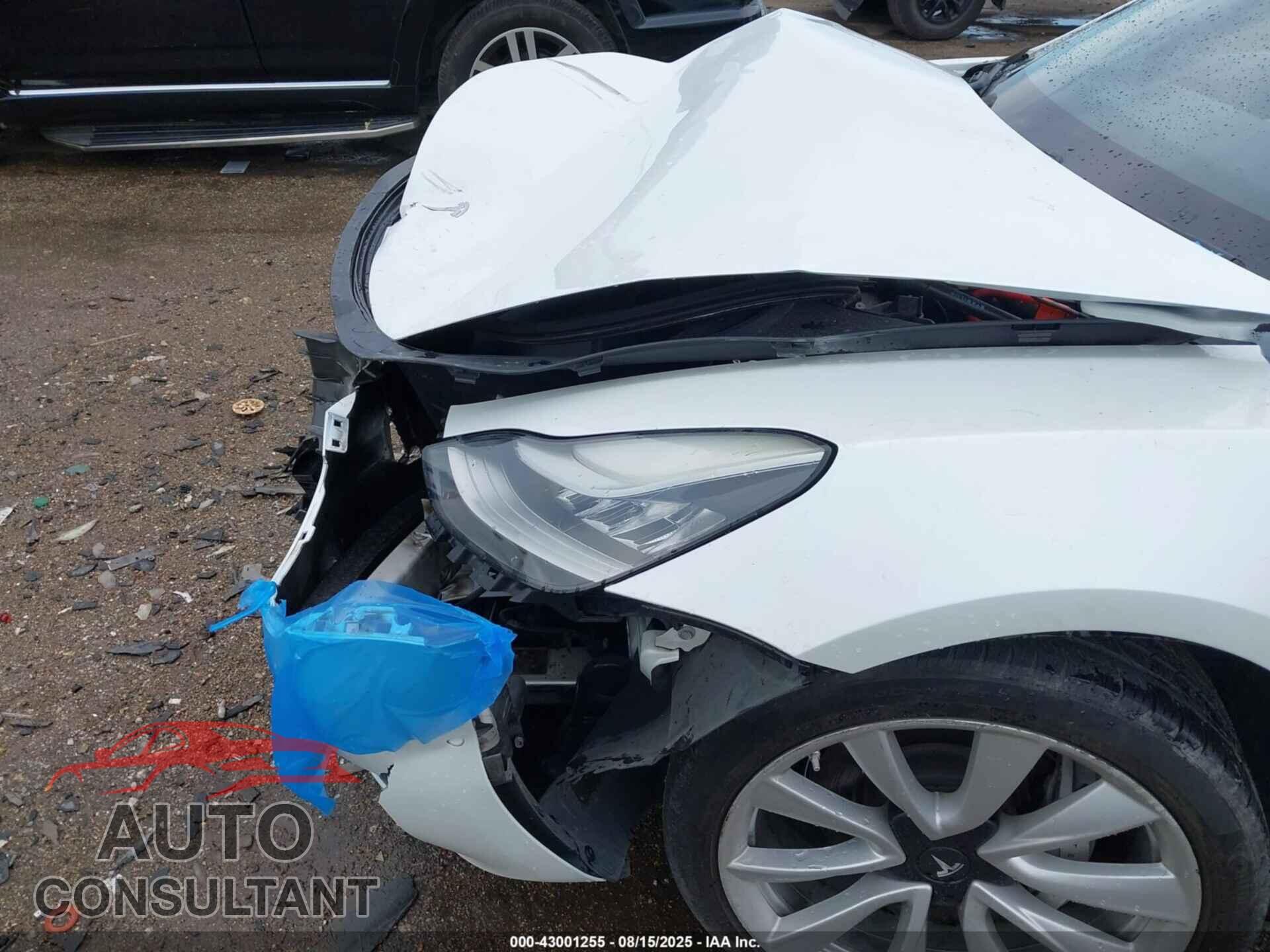 TESLA MODEL 3 2019 - 5YJ3E1EA1KF315142