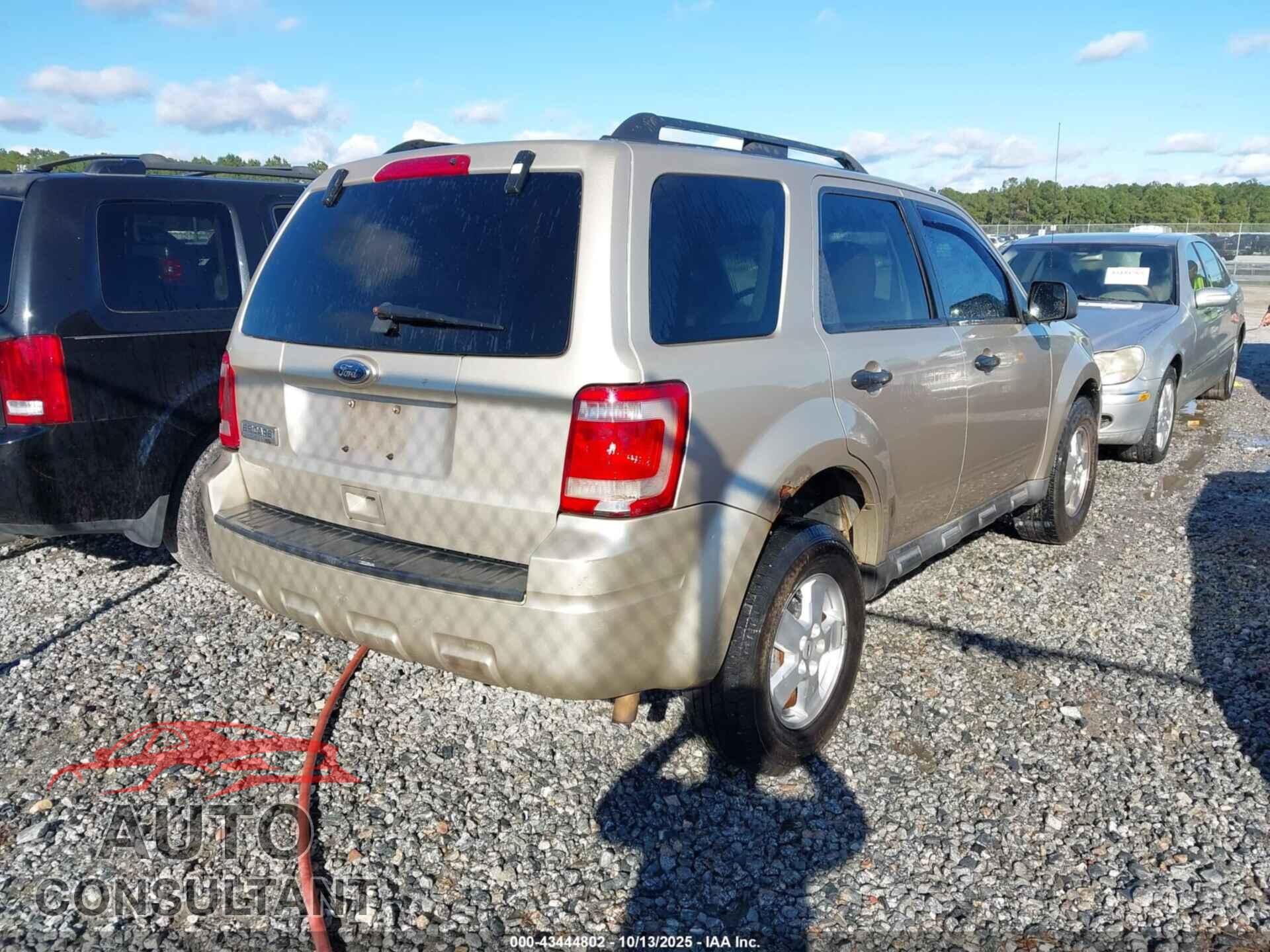 FORD ESCAPE 2010 - 1FMCU9D79AKB29191