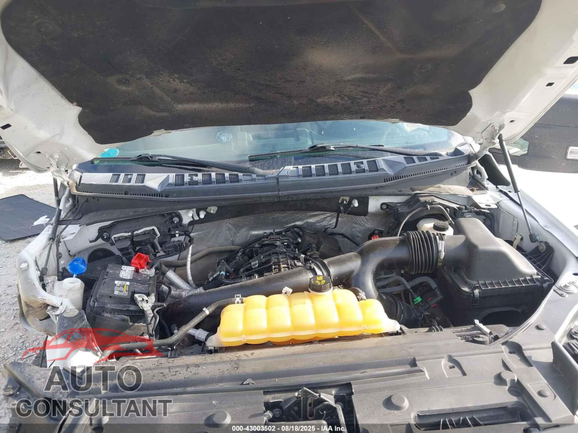 FORD F-150 2016 - 1FTEW1EG6GFB96811