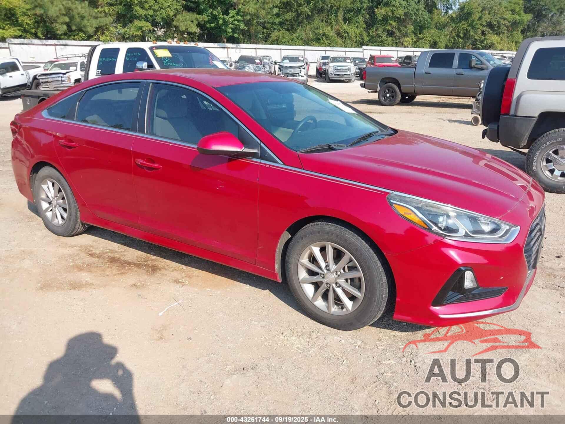 HYUNDAI SONATA 2018 - 5NPE24AF4JH601829
