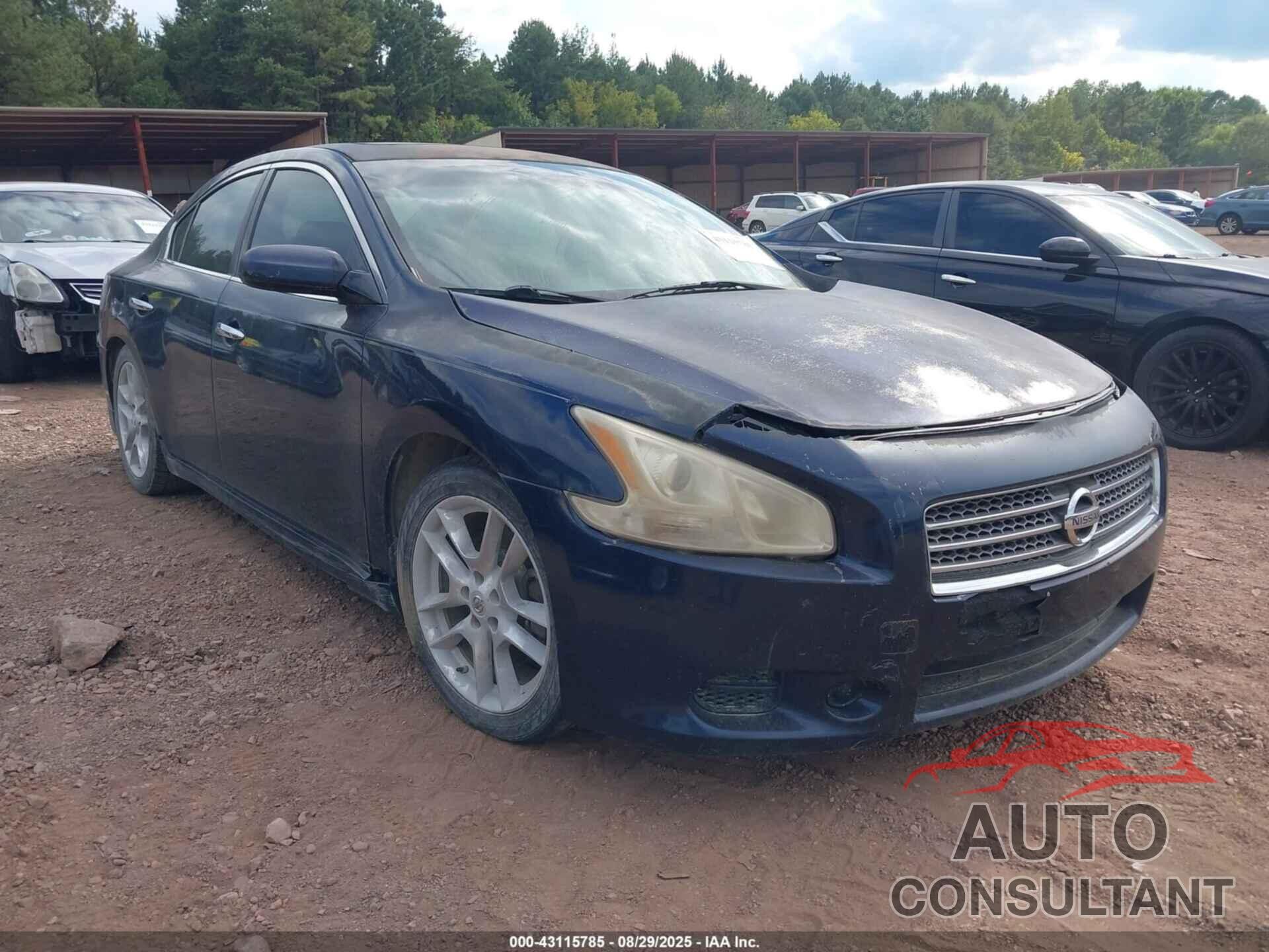NISSAN MAXIMA 2010 - 1N4AA5AP9AC822408