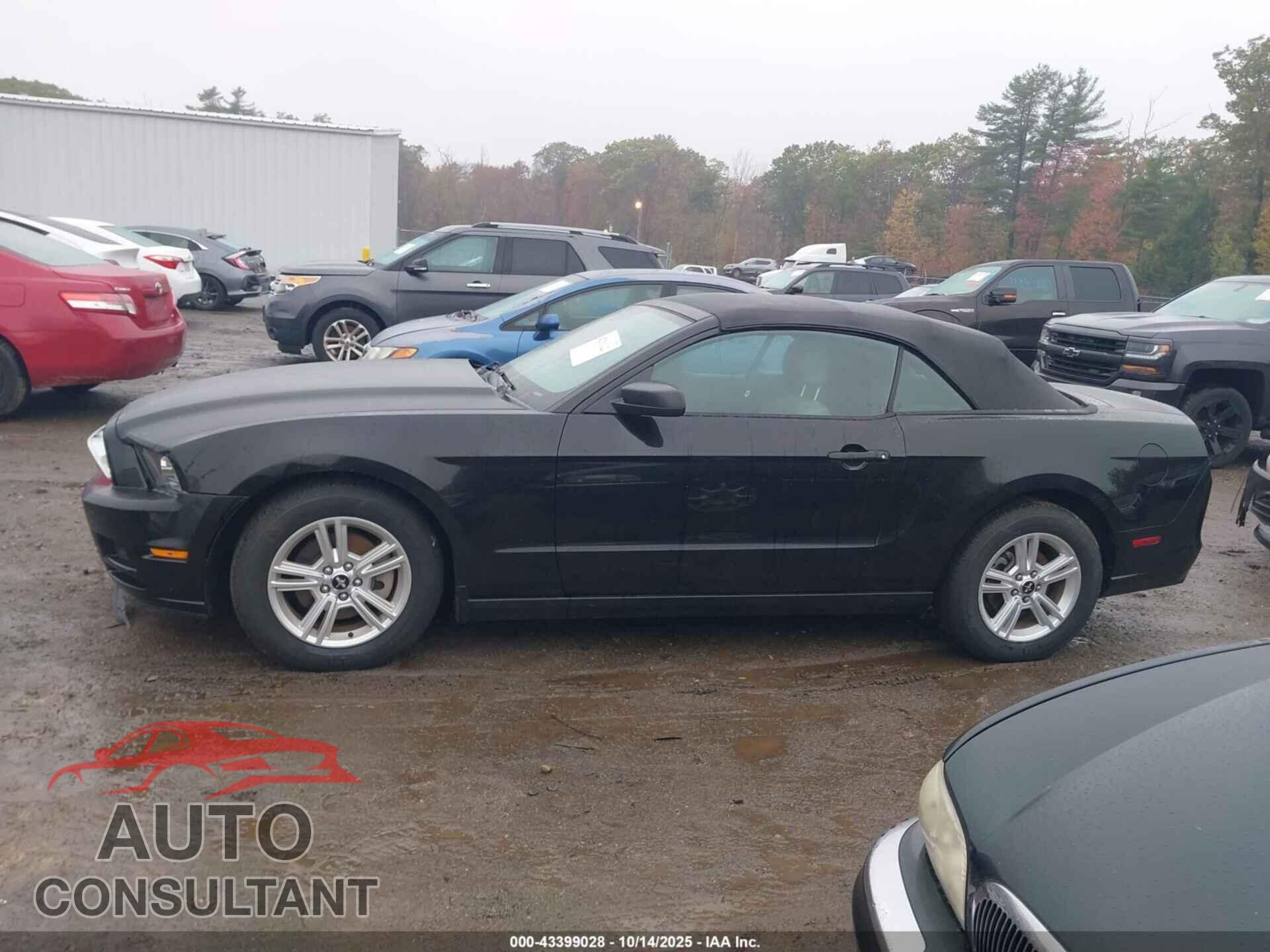 FORD MUSTANG 2014 - 1ZVBP8EM0E5236377