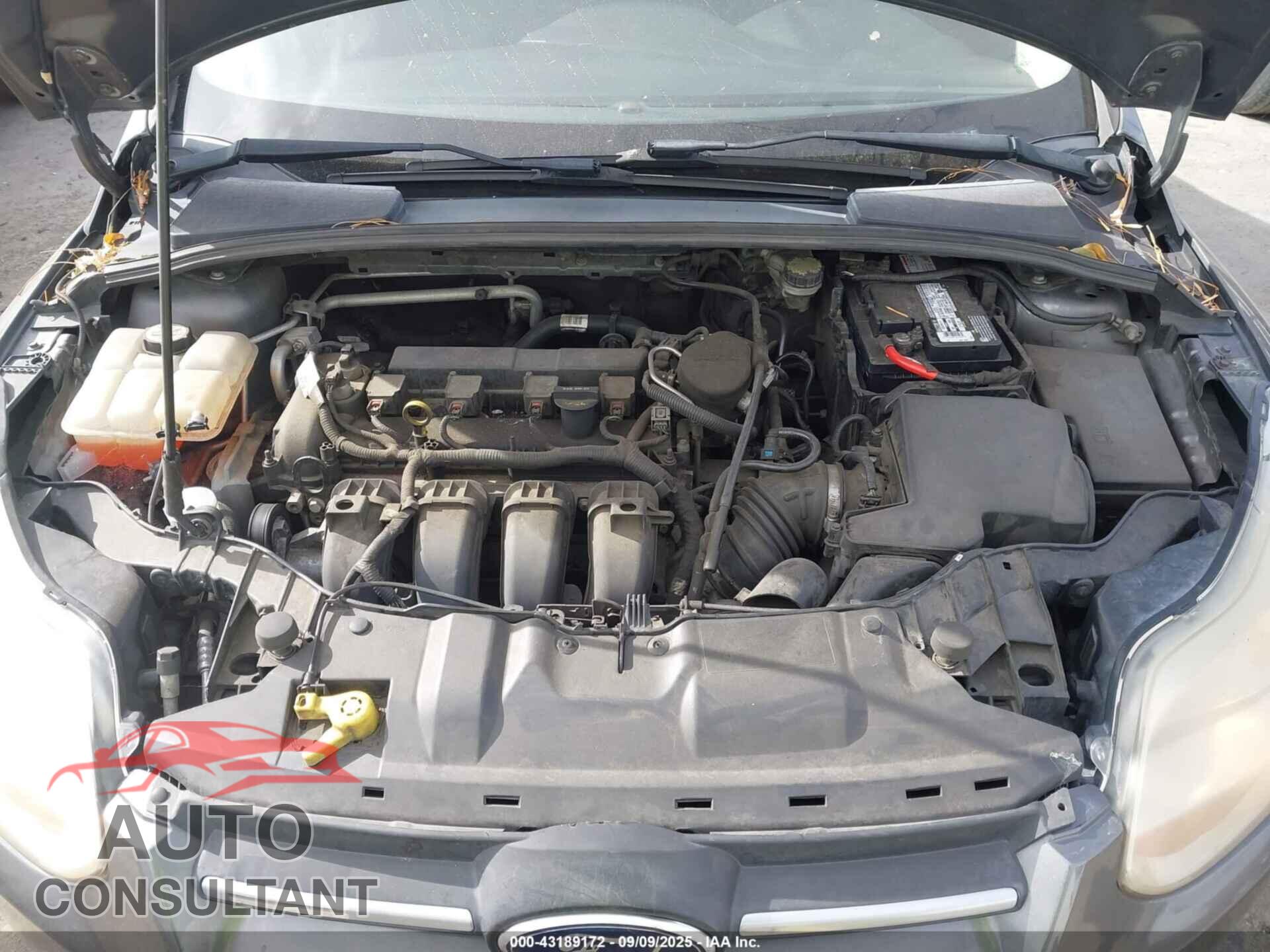 FORD FOCUS 2013 - 1FADP3F2XDL268166