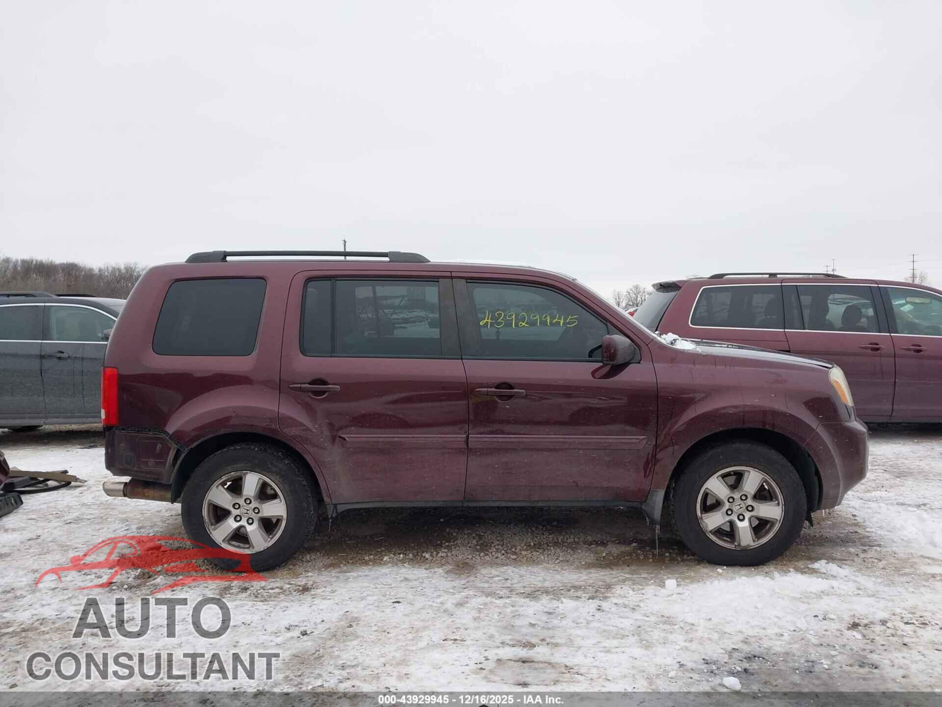 HONDA PILOT 2009 - 5FNYF48509B029327