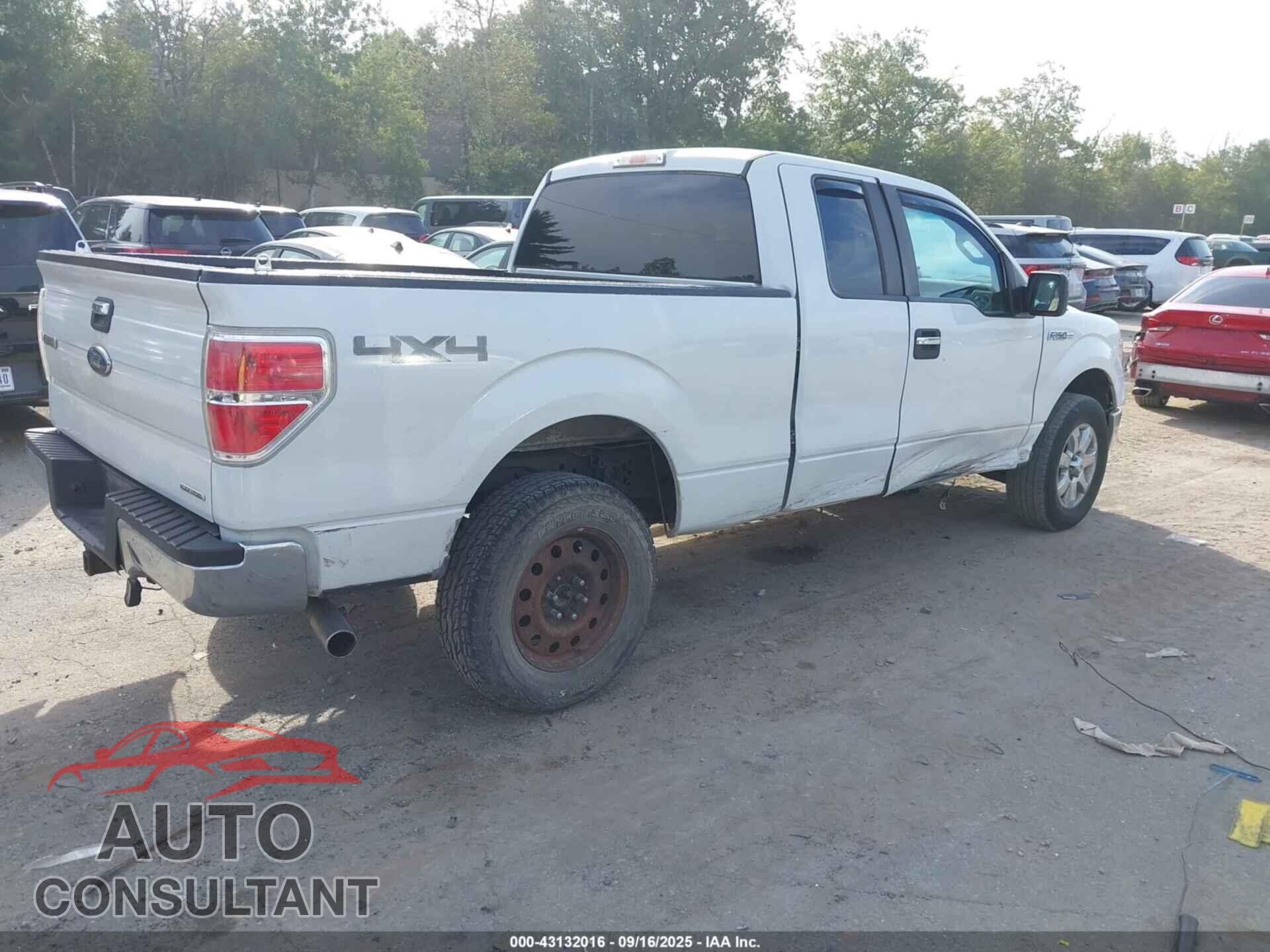 FORD F-150 2013 - 1FTFX1EF7DFD90011