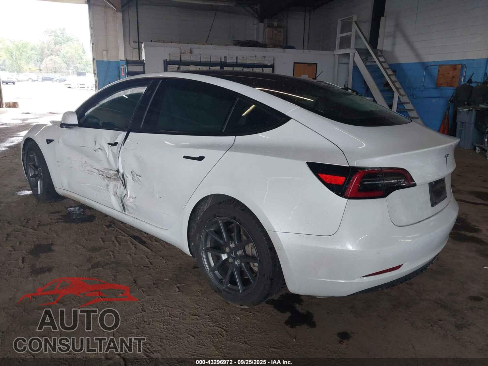 TESLA MODEL 3 2021 - 5YJ3E1EA6MF009508