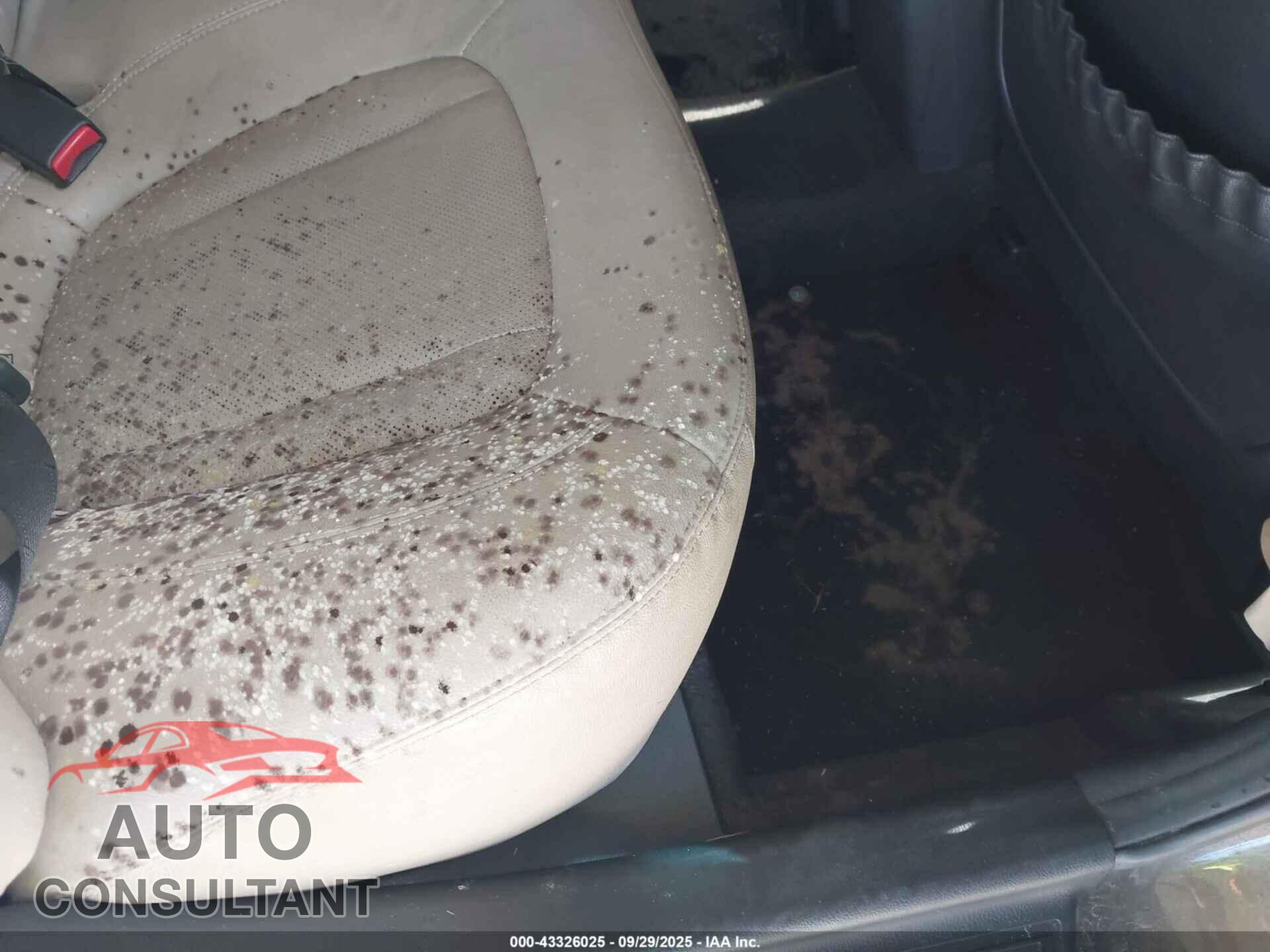 KIA OPTIMA 2011 - KNAGN4A79B5072630