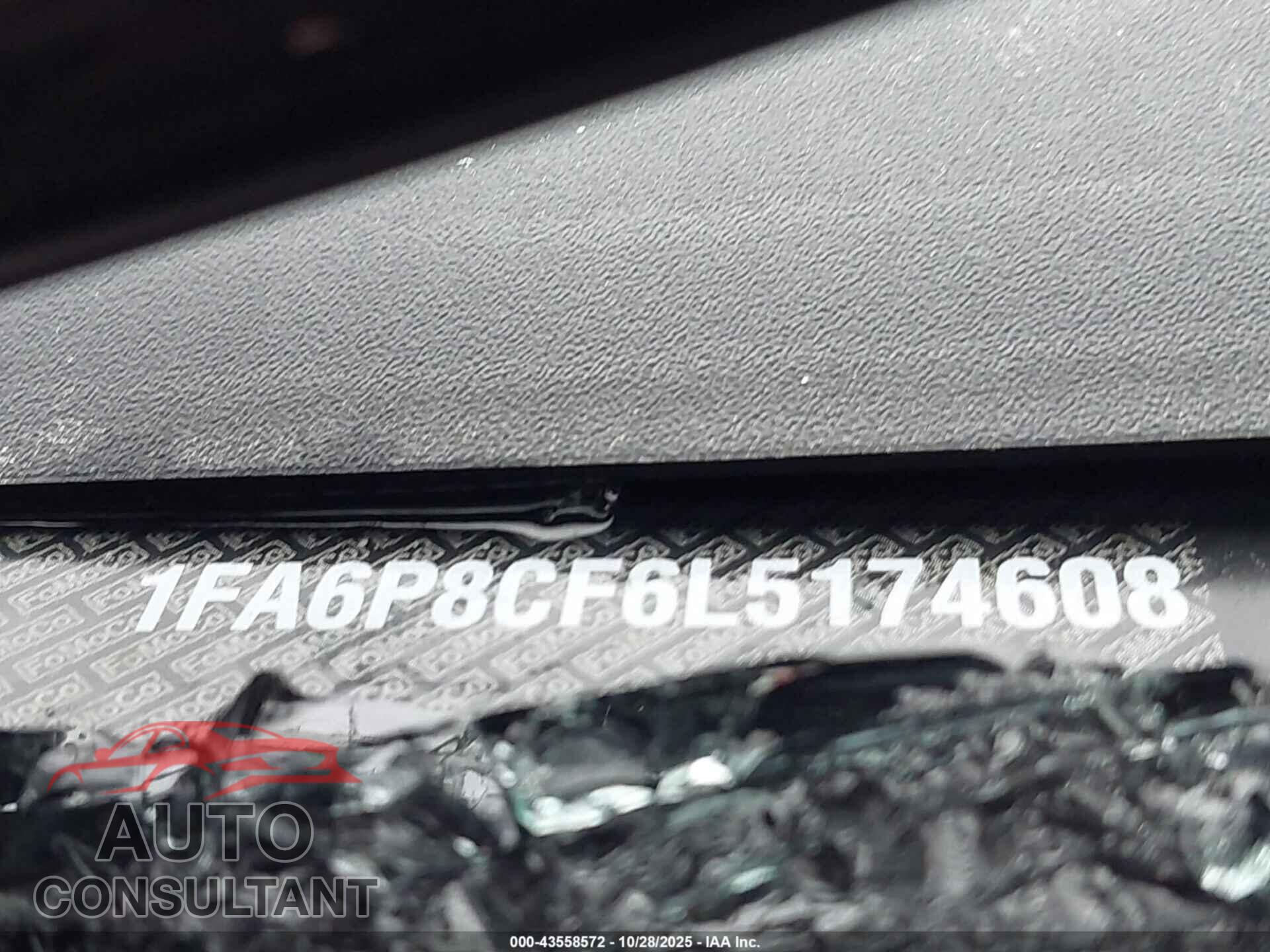 FORD MUSTANG 2020 - 1FA6P8CF6L5174608