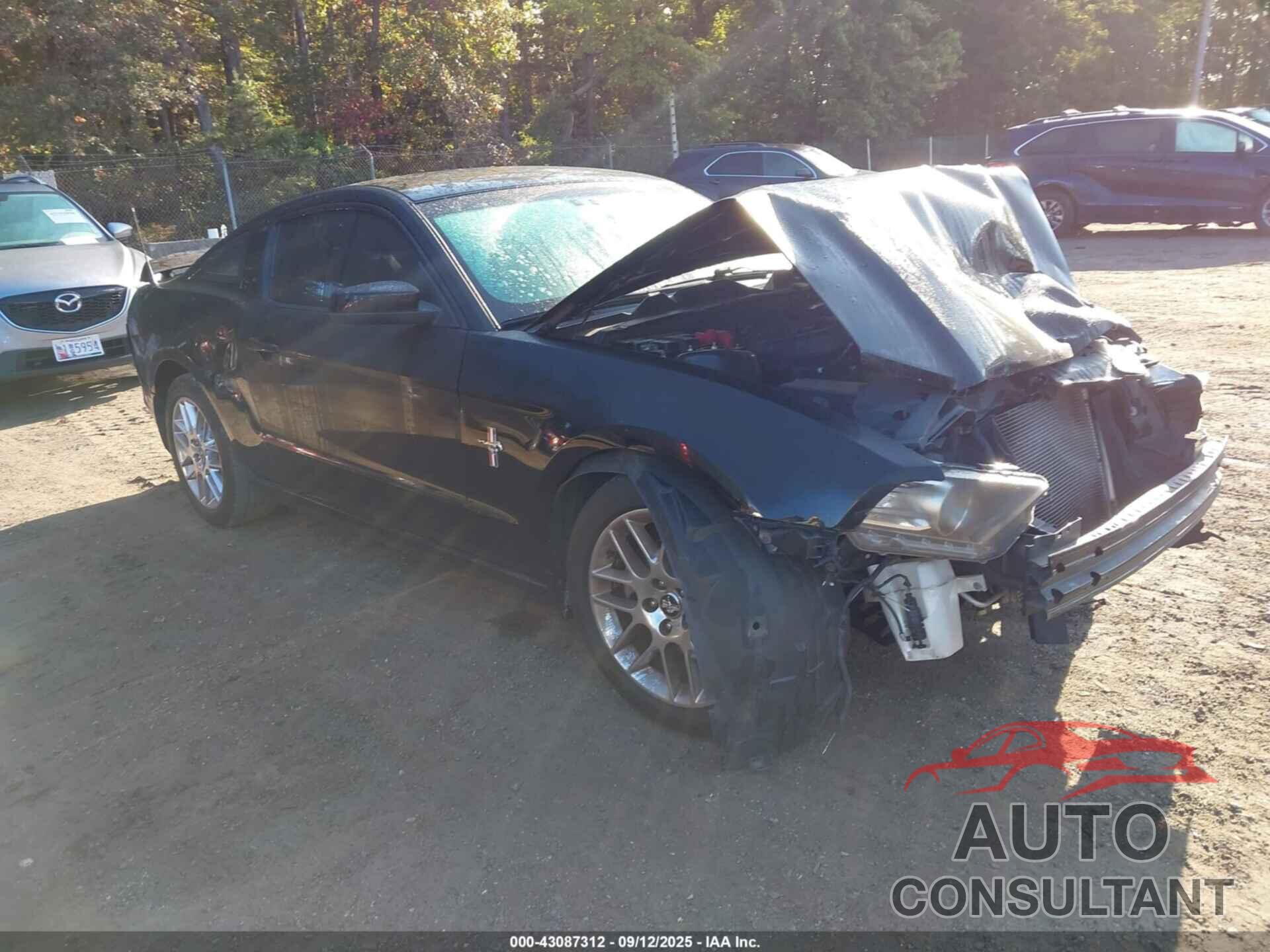 FORD MUSTANG 2013 - 1ZVBP8AM5D5200513