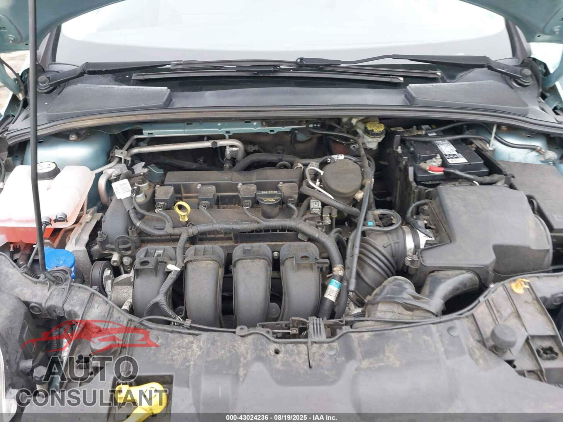 FORD FOCUS 2012 - 1FAHP3F24CL420748