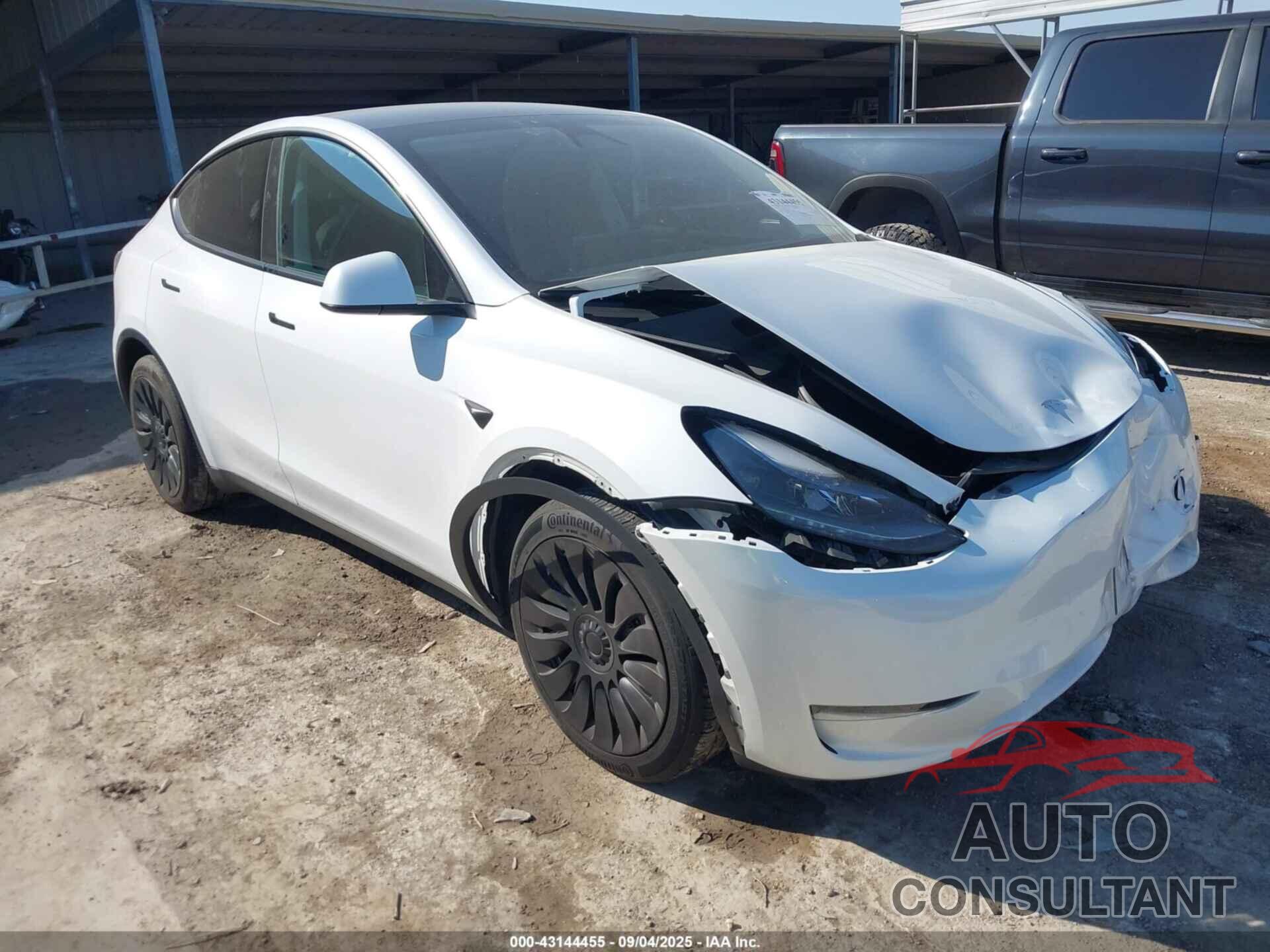 TESLA MODEL Y 2024 - 7SAYGDED0RF038413