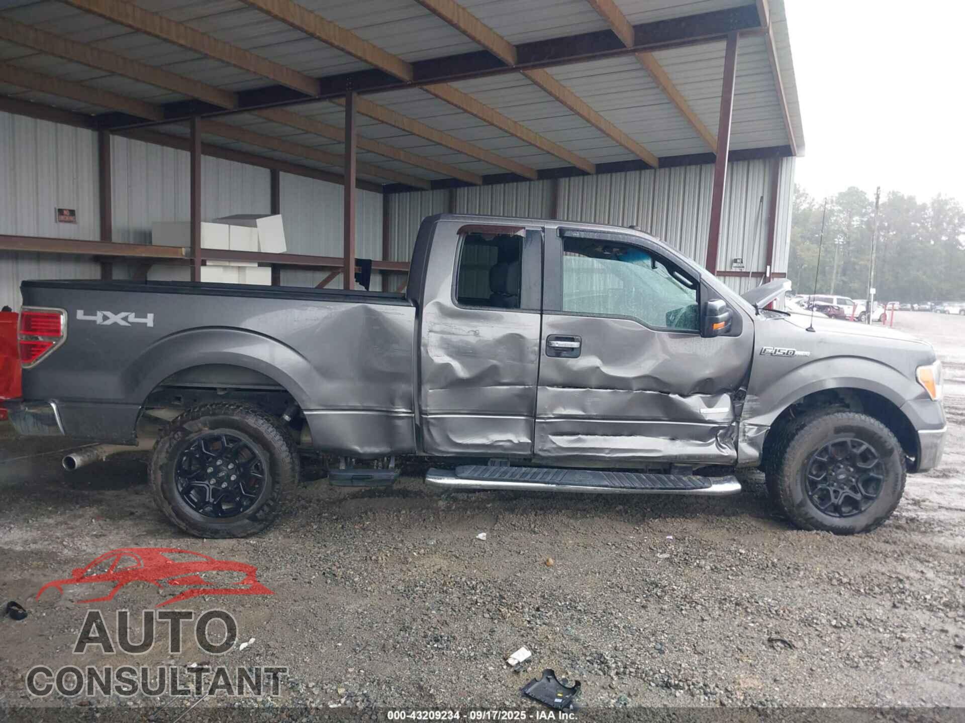 FORD F-150 2013 - 1FTFX1ET7DFD38464