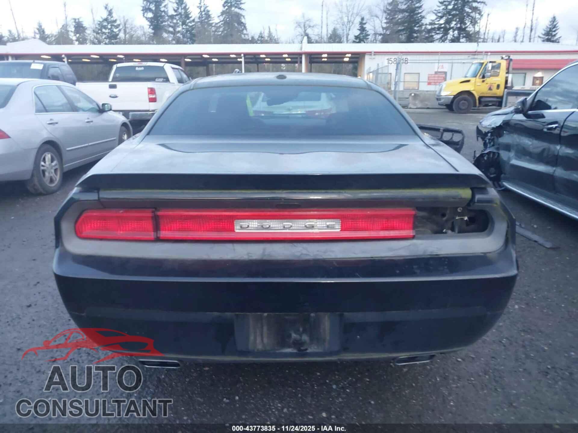 DODGE CHALLENGER 2013 - 2C3CDYBT9DH587618