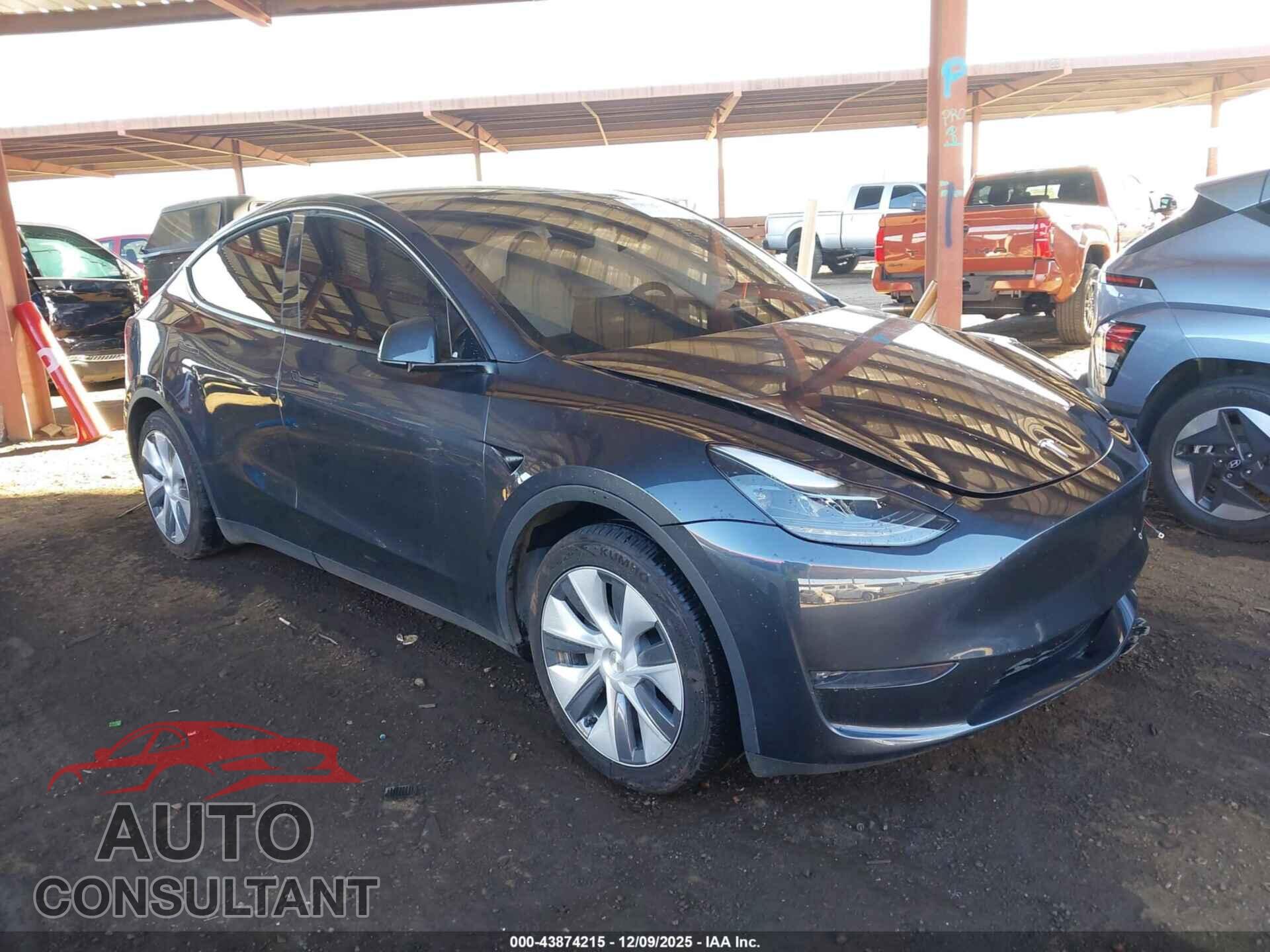 TESLA MODEL Y 2024 - 7SAYGDEE2RF087962