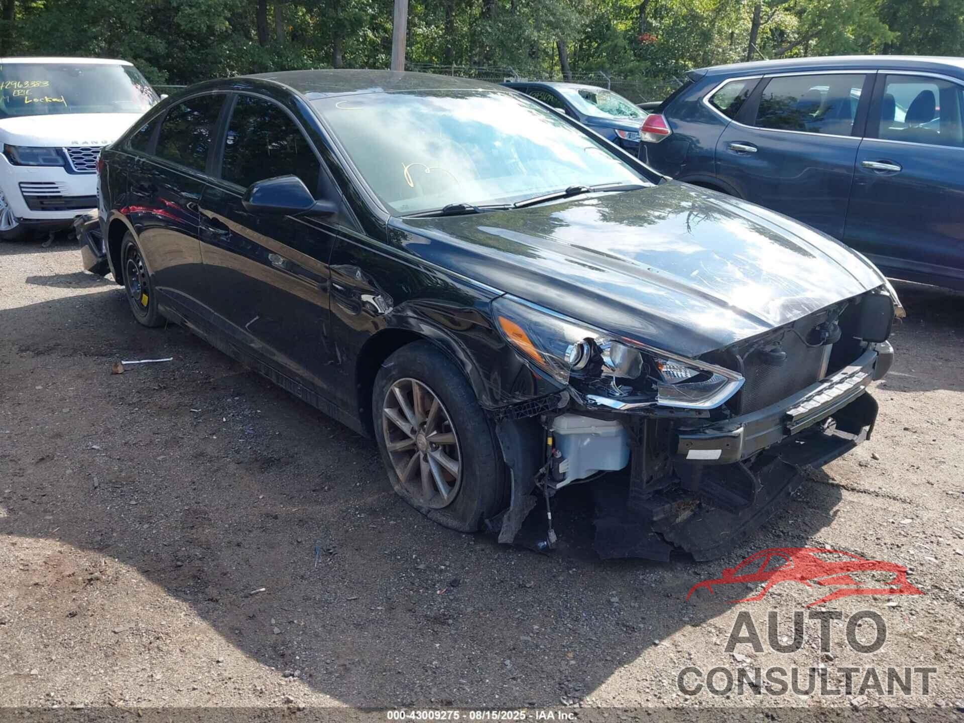 HYUNDAI SONATA 2019 - 5NPE24AFXKH776961