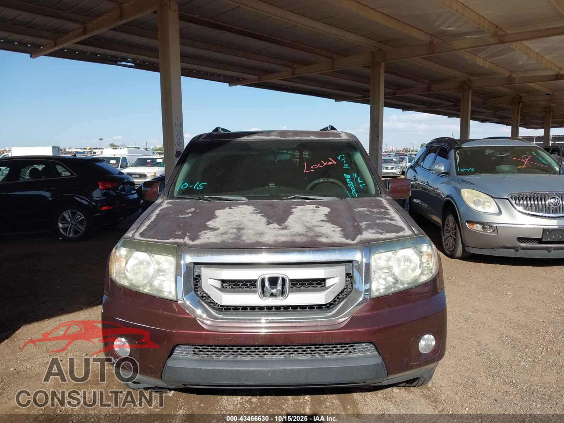 HONDA PILOT 2011 - 5FNYF4H4XBB005548