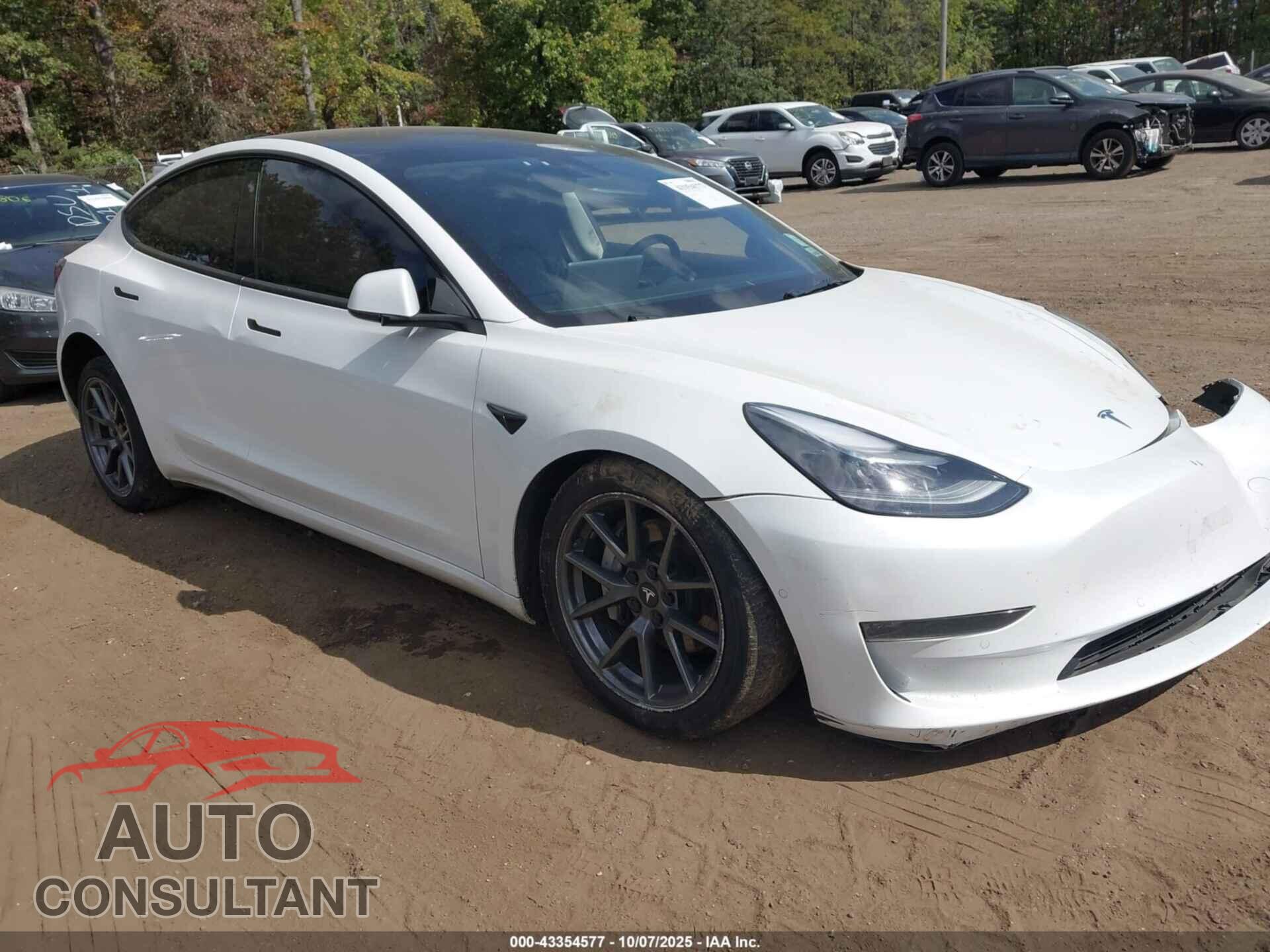 TESLA MODEL 3 2021 - 5YJ3E1EA8MF093976