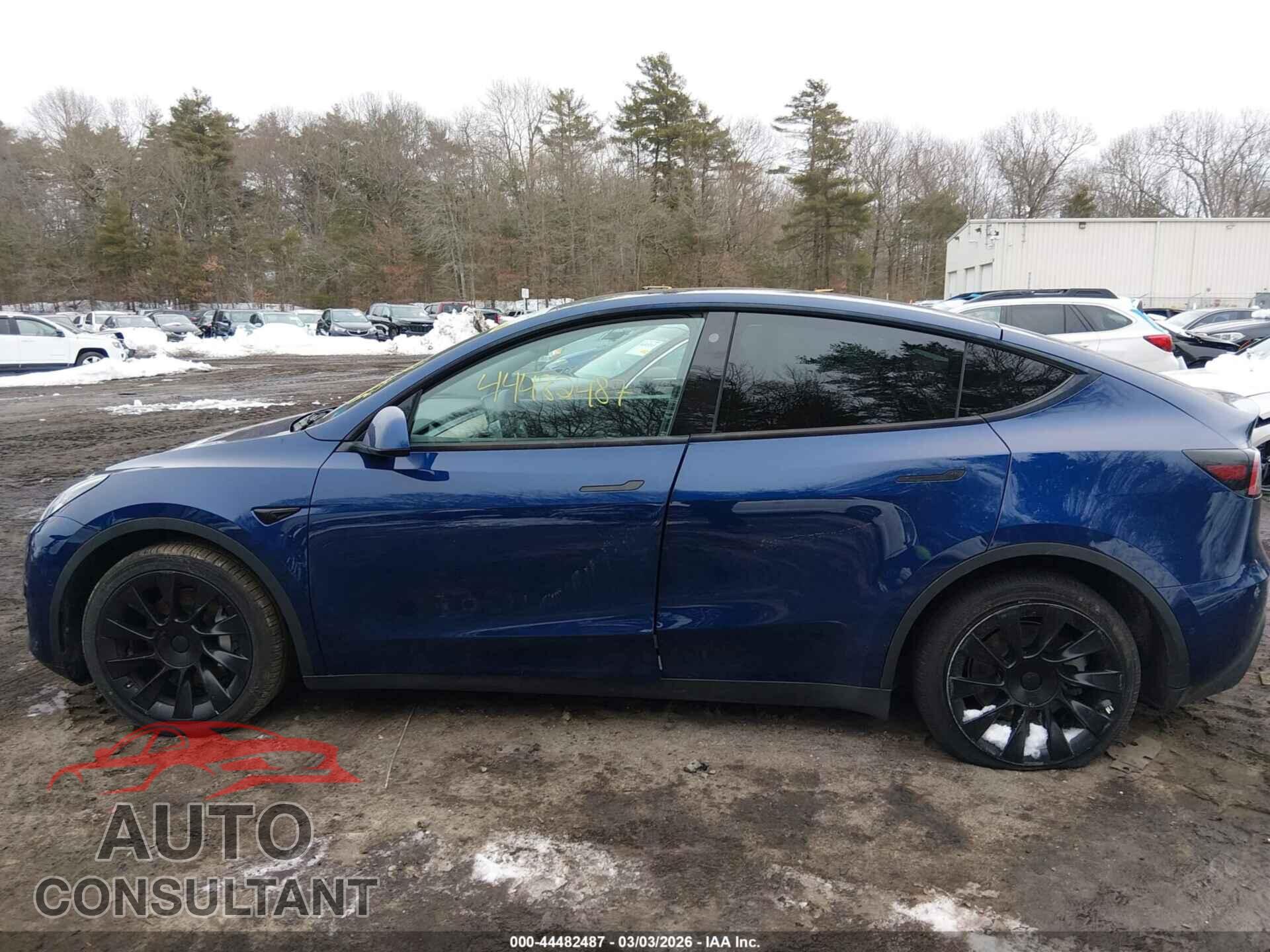 TESLA MODEL Y 2022 - 7SAYGDEE1NF437821