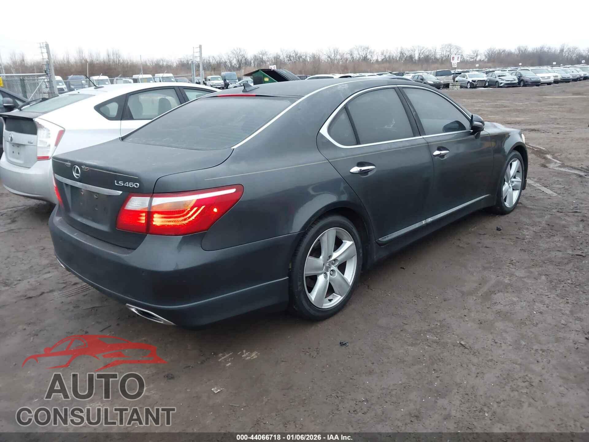 LEXUS LS 460 2011 - JTHBL5EF7B5107528