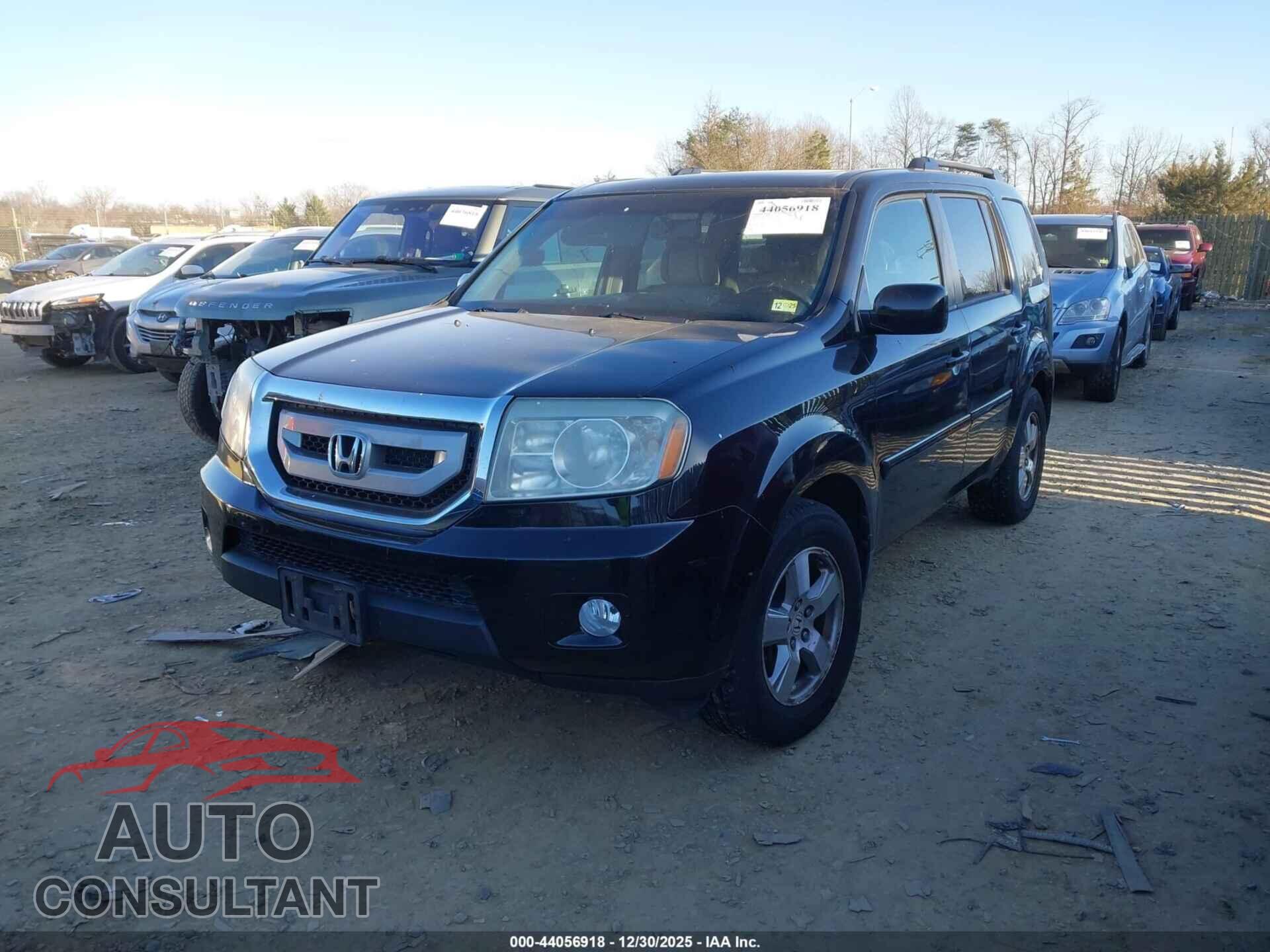 HONDA PILOT 2009 - 5FNYF48699B026807