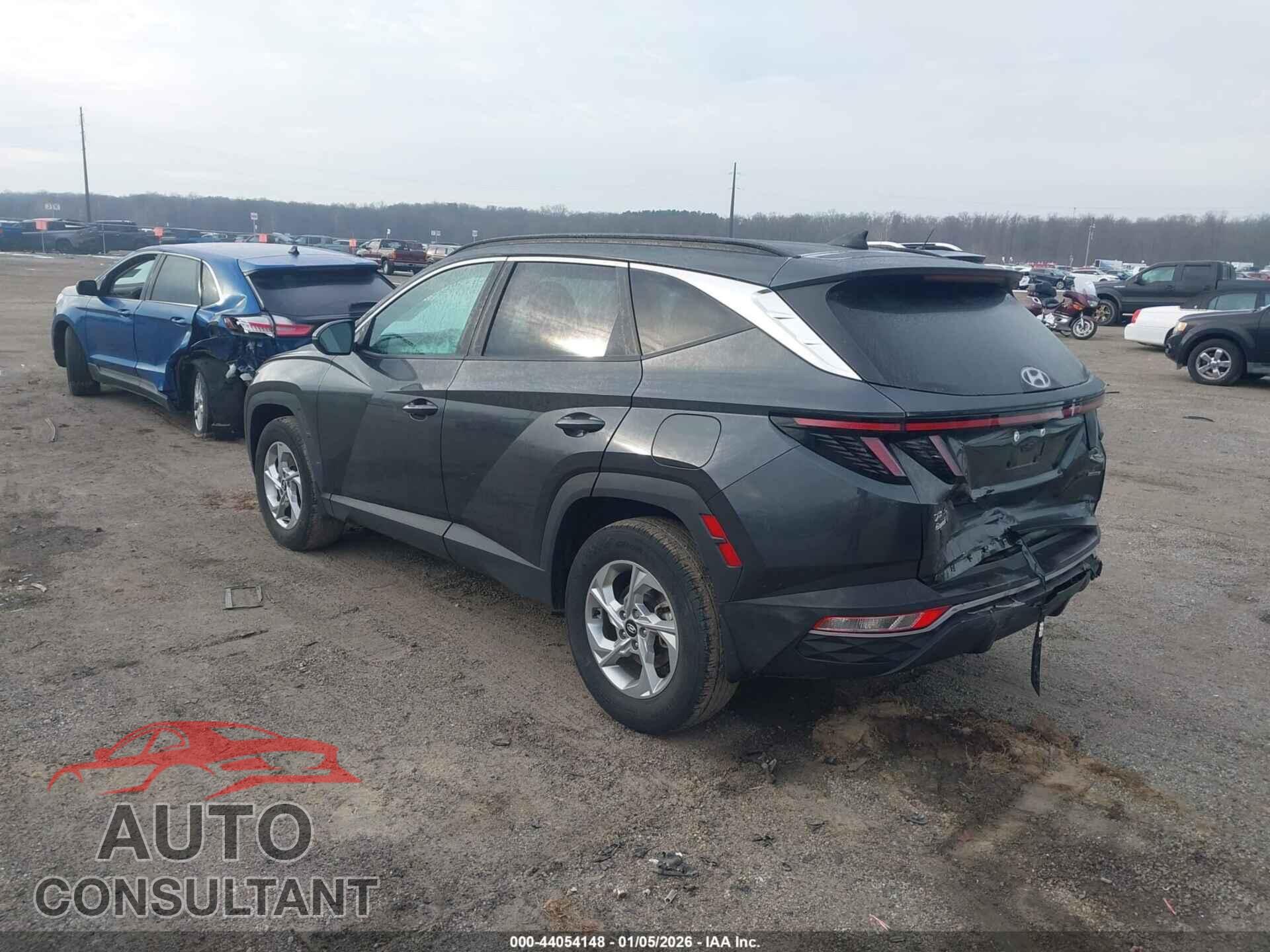 HYUNDAI TUCSON 2023 - 5NMJBCAE6PH173543